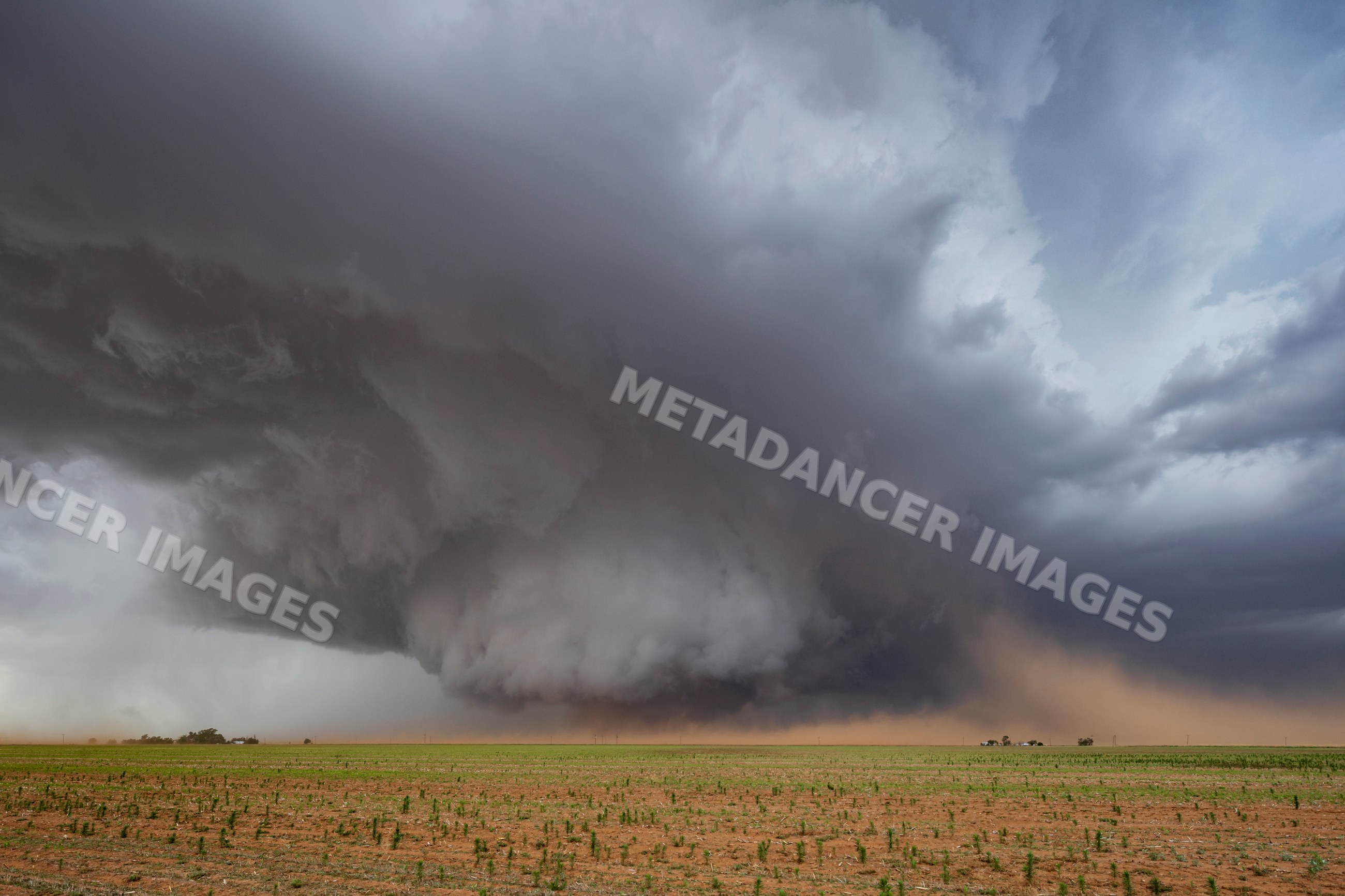 Monster Wedge Tornado over farmland near Morton texas