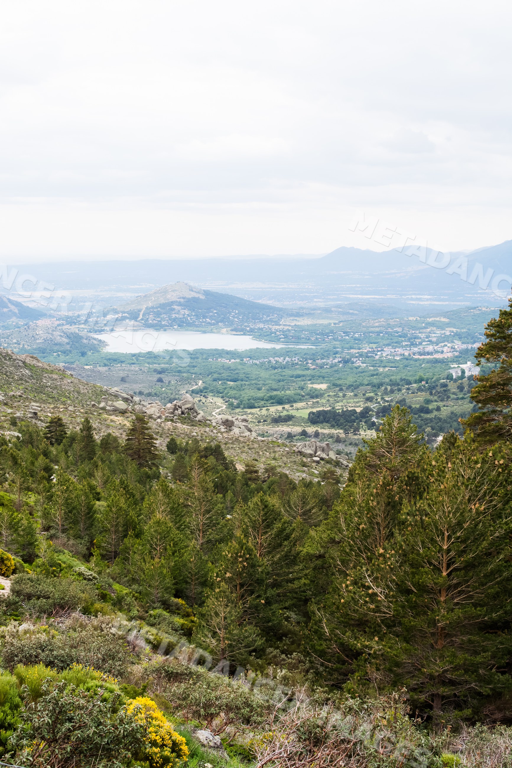 Mountain landscape with forest and distant lake