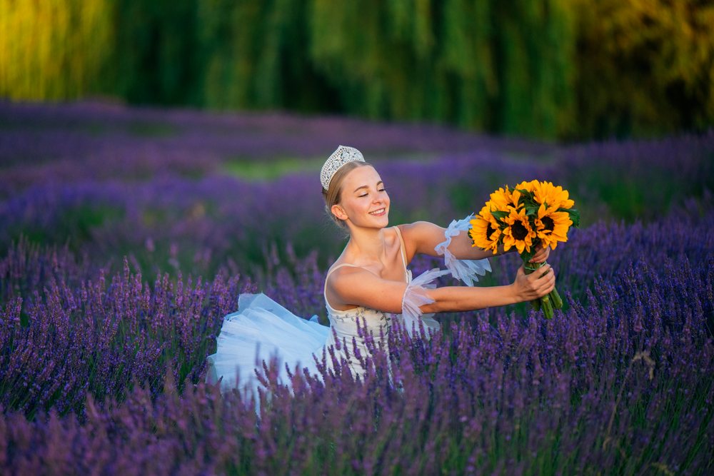 A ballerina in a tutu holding sunflowers in a lavender field