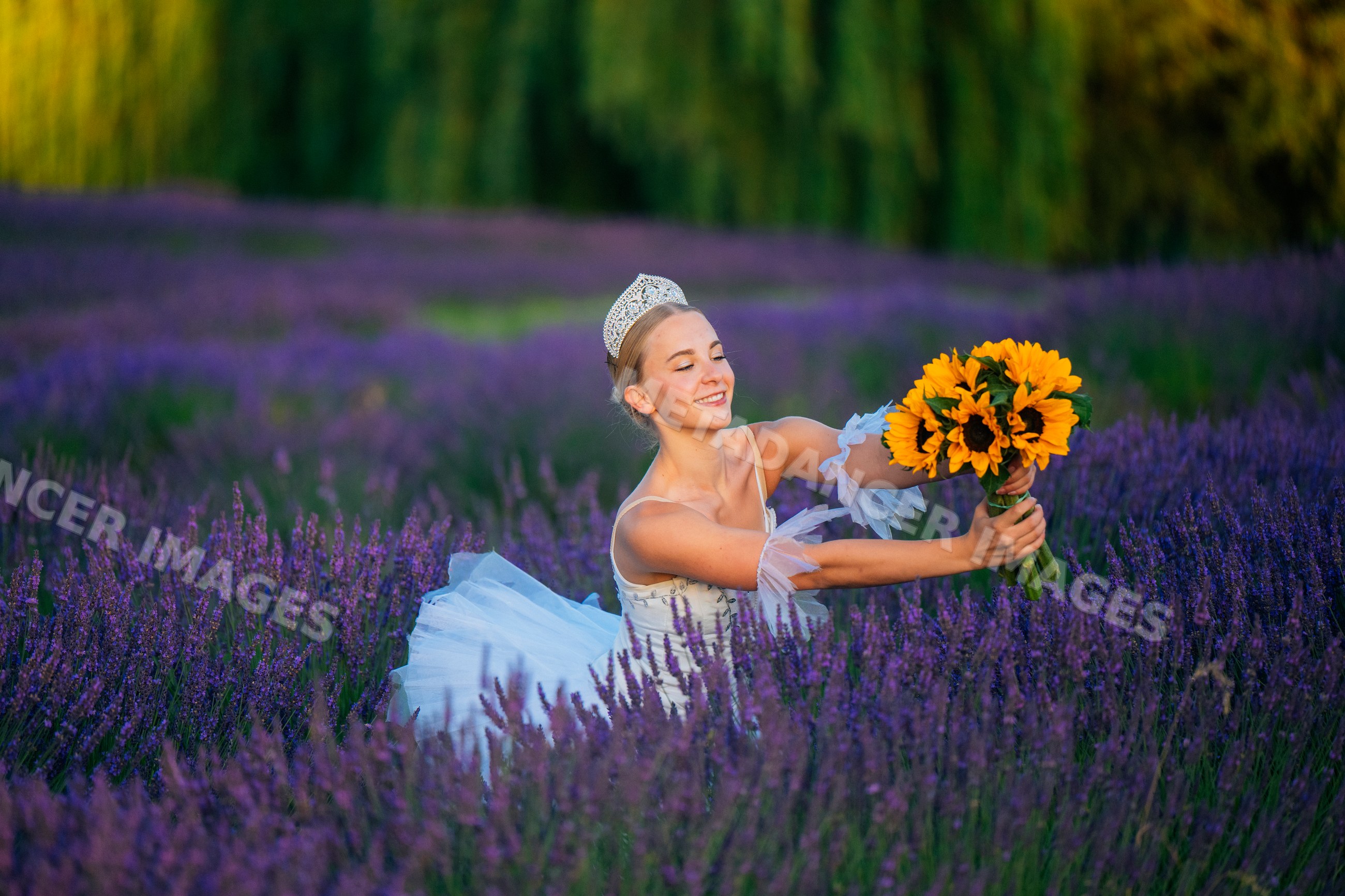 A ballerina in a tutu holding sunflowers in a lavender field