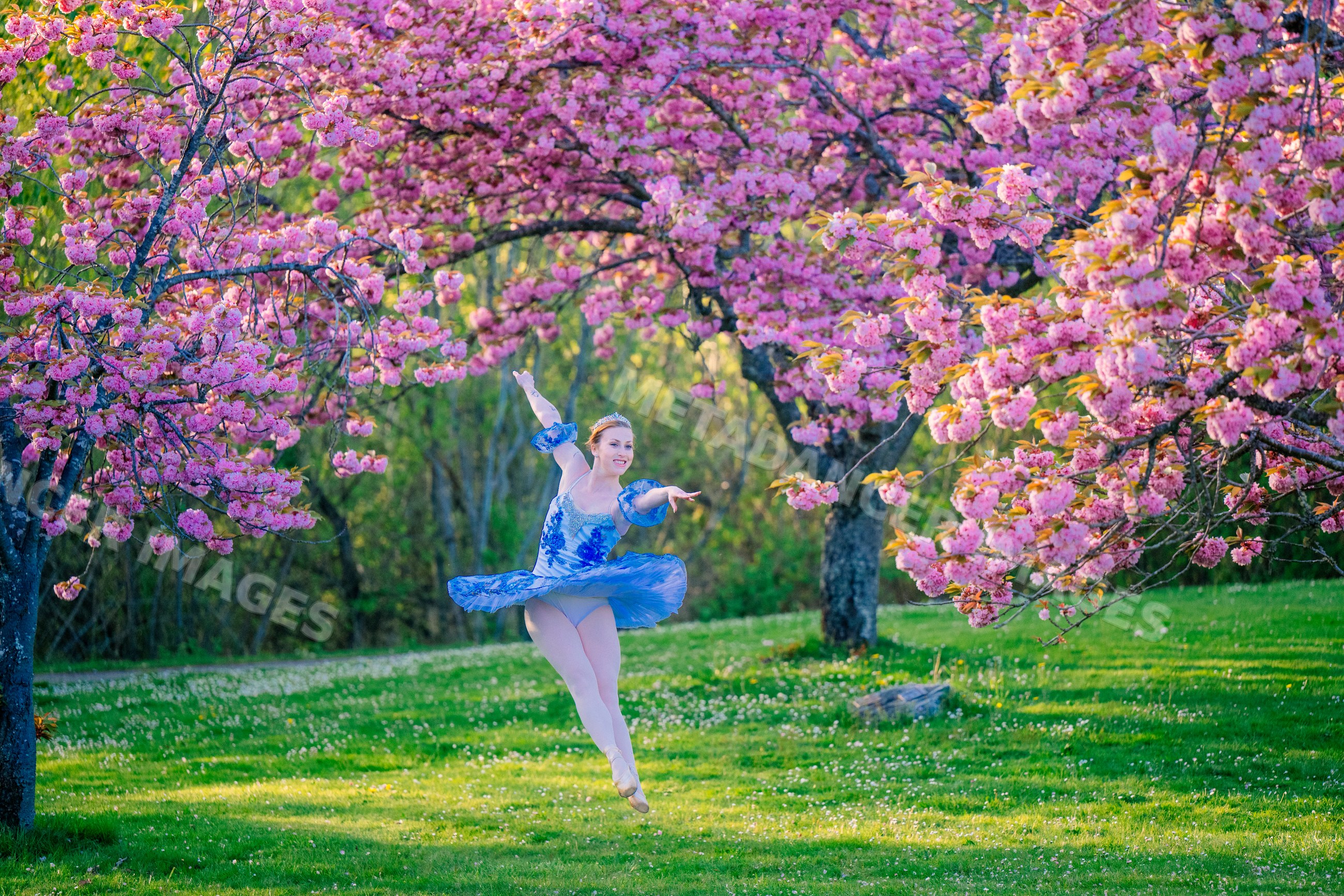 A ballet dancer gracefully leaps outdoors