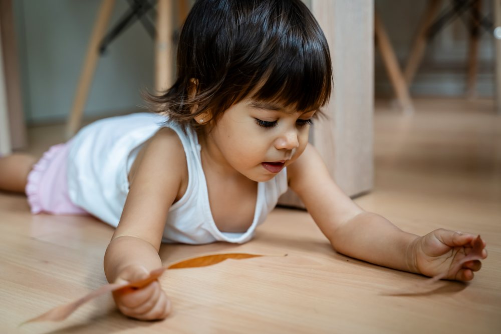 Toddler white girl playing with leaf on indoor wooden floor in a home