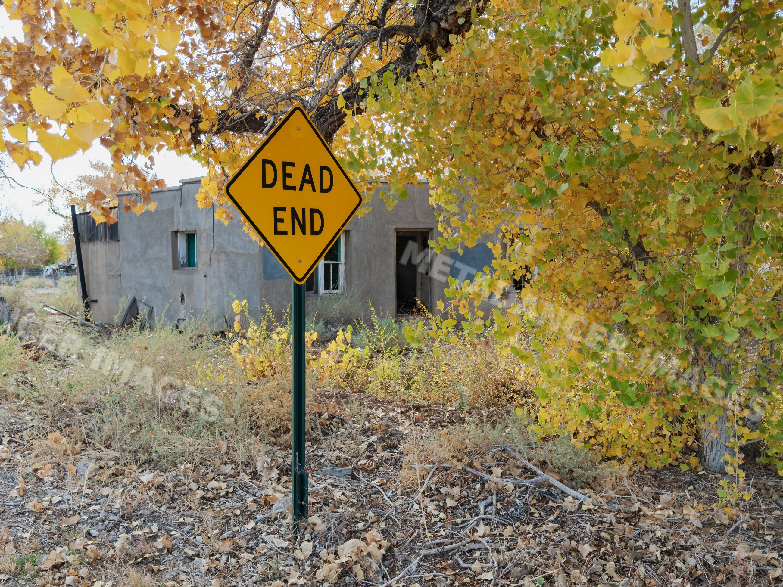 Dead end sign with autumn foliage at abandoned building