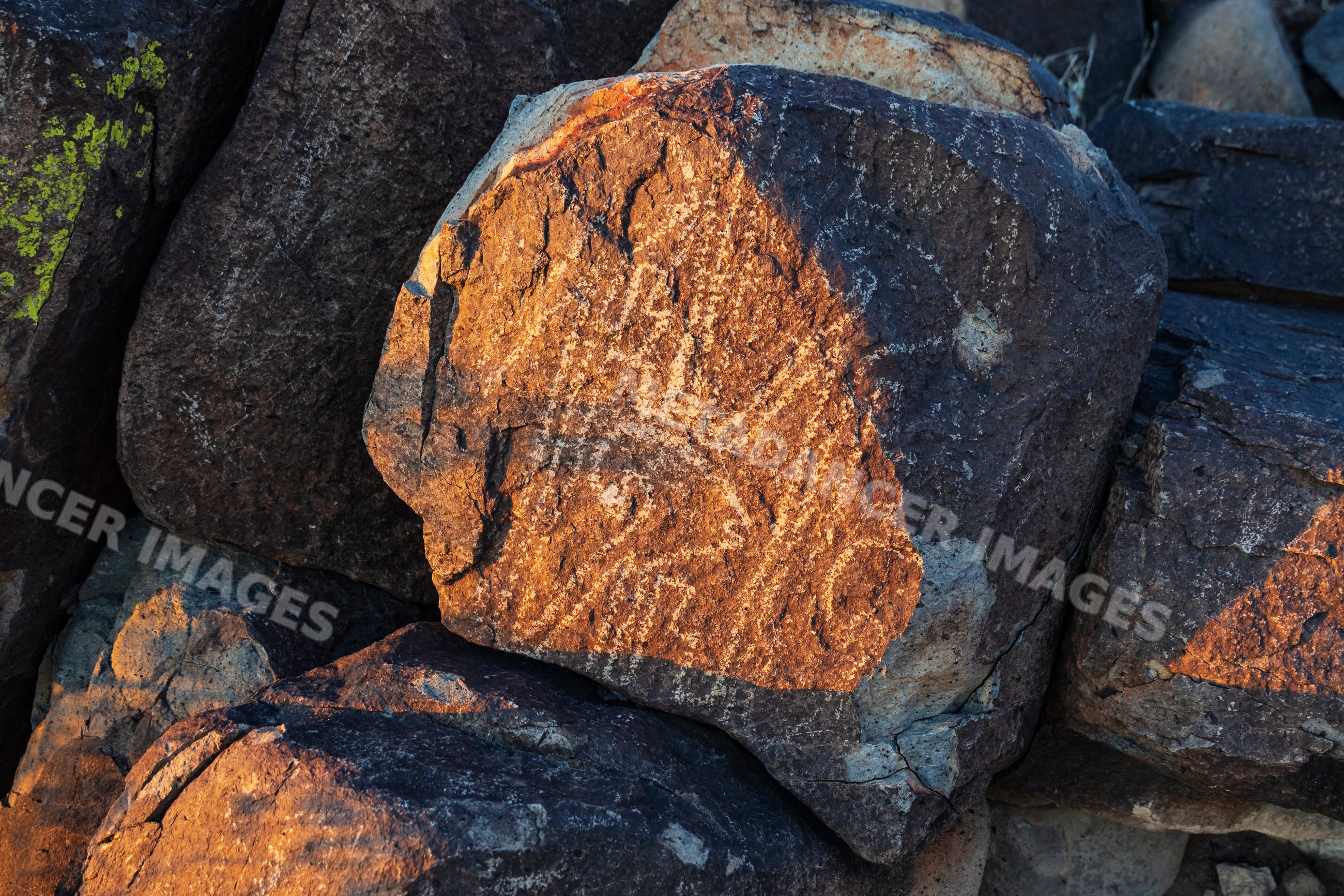 Petroglyphs carved in rock at Sunset in New Mexico desert