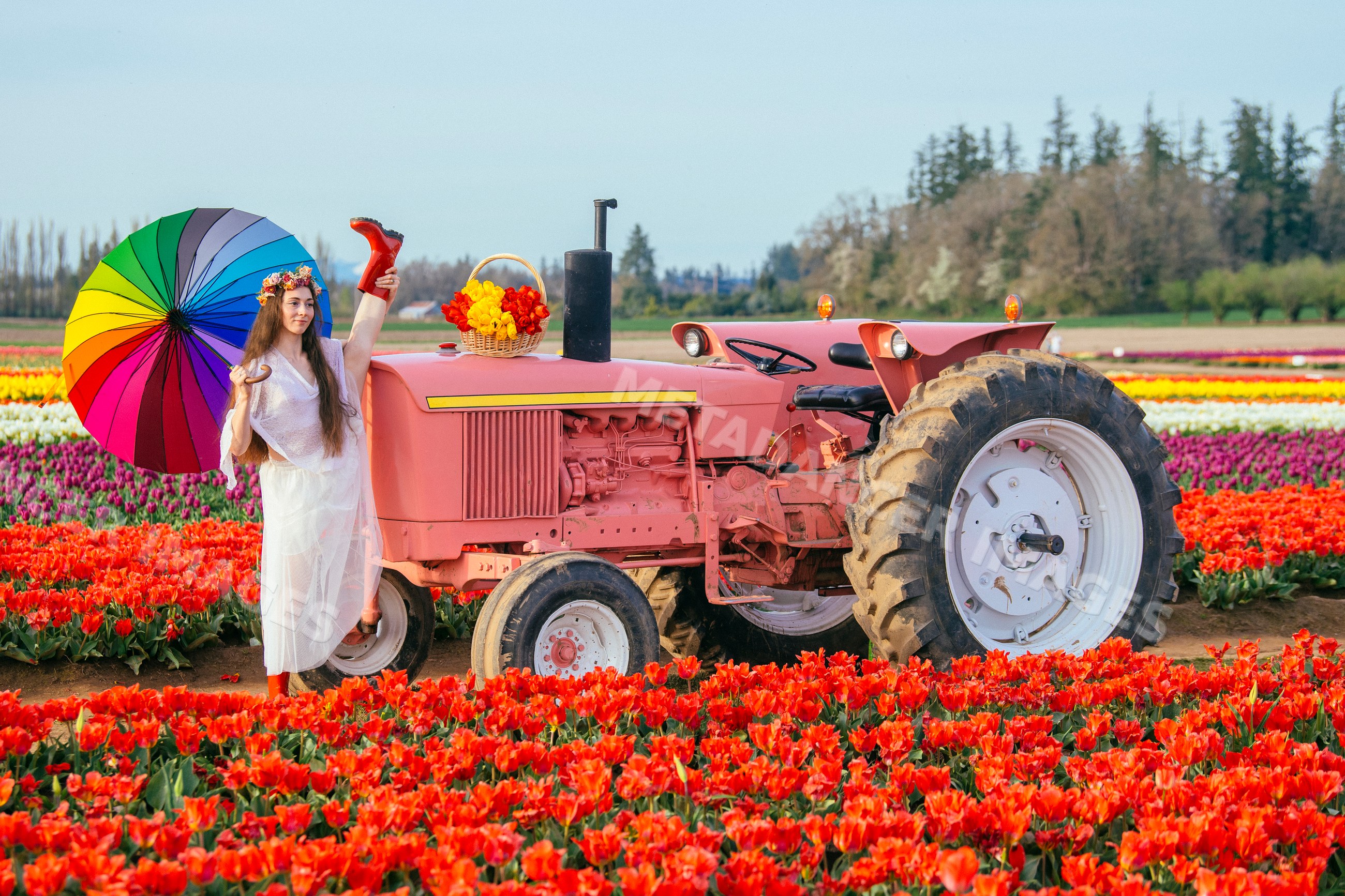 White woman with rainbow umbrella standing by red tractor