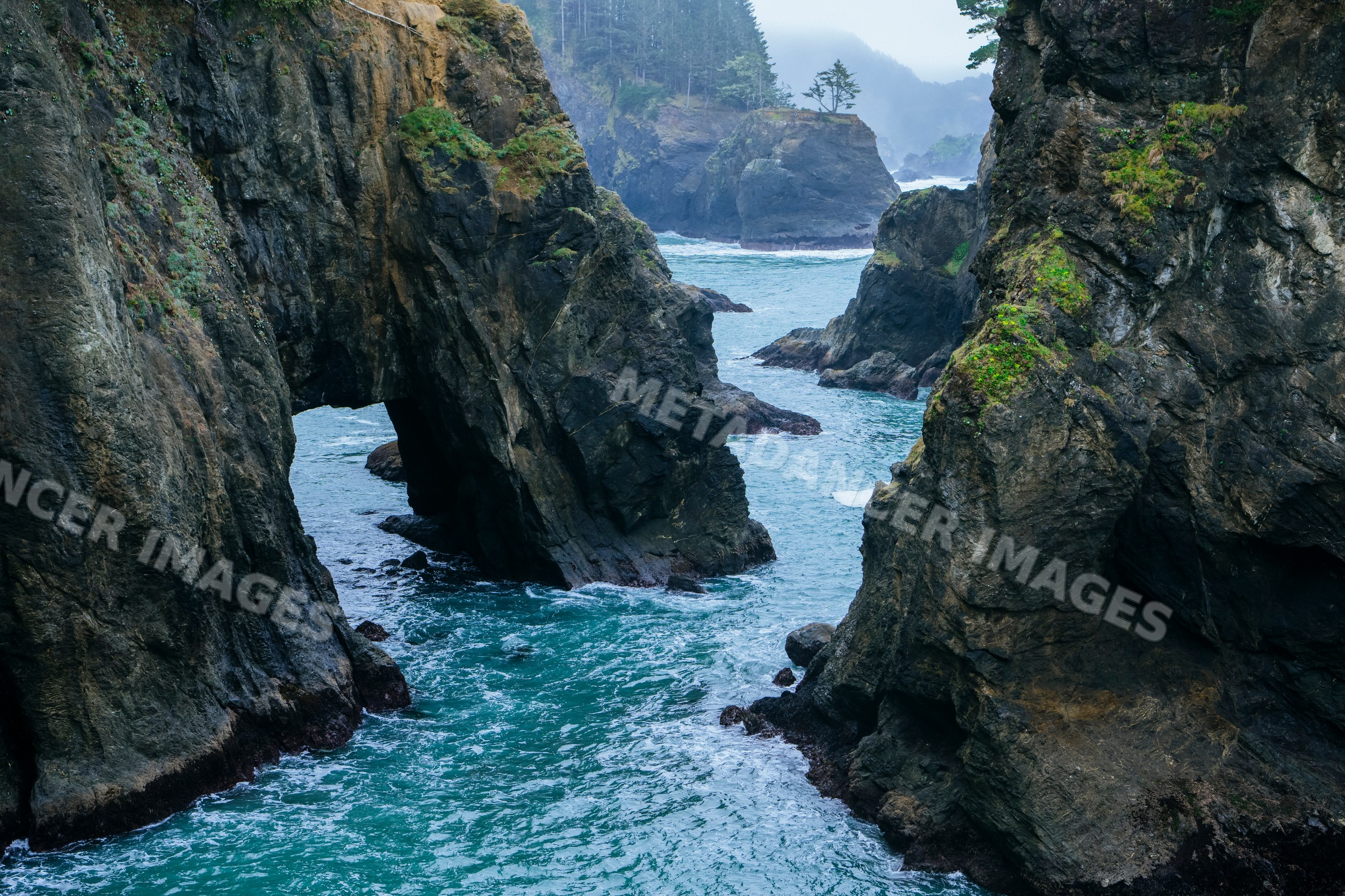 Sea arch and rock formations along ocean cliffs Oregon