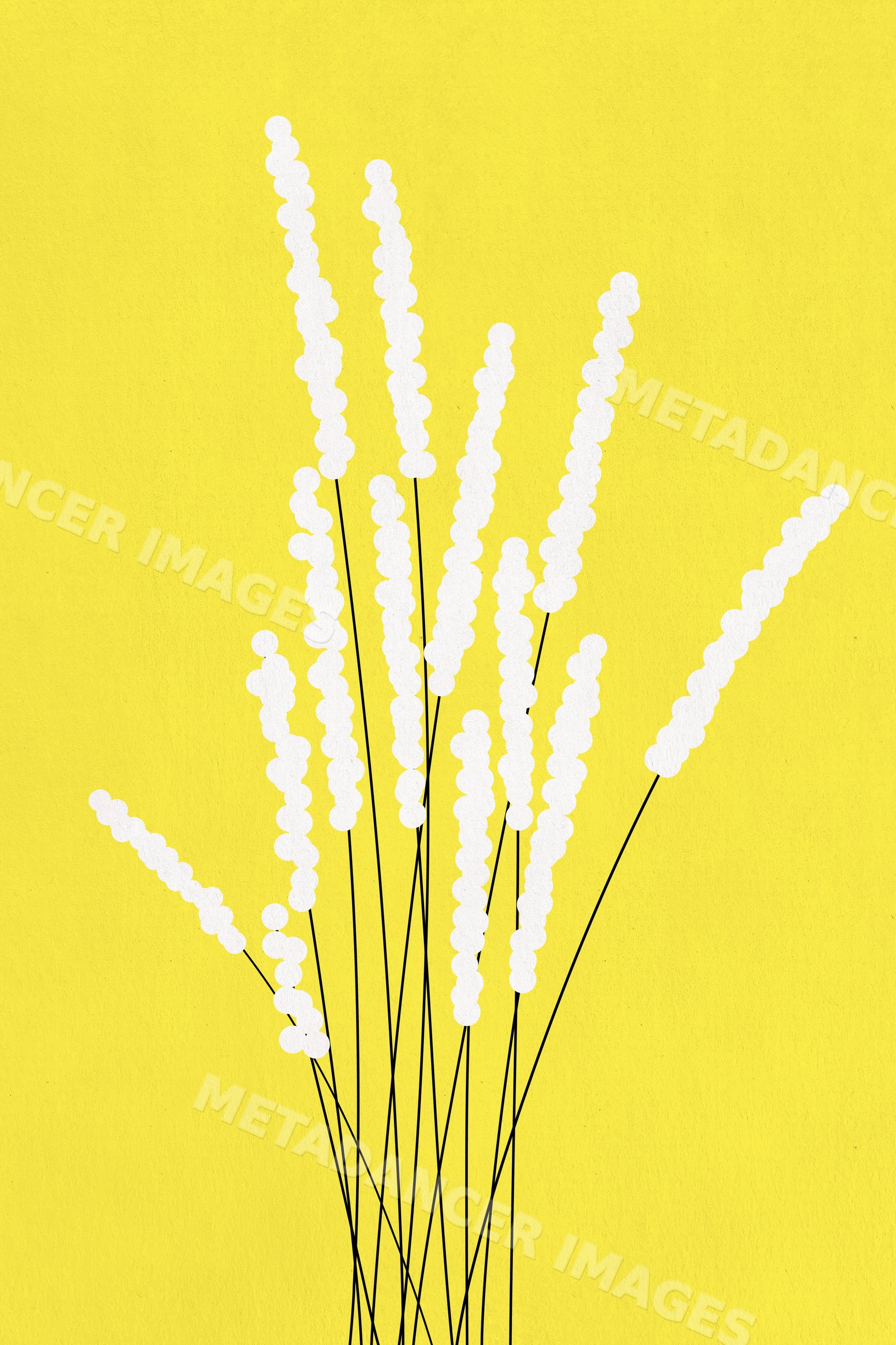 White elongated floral stems on bright yellow background