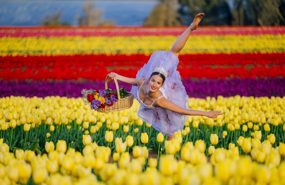 Ballet white dancer performing graceful pose in vibrant tulip field