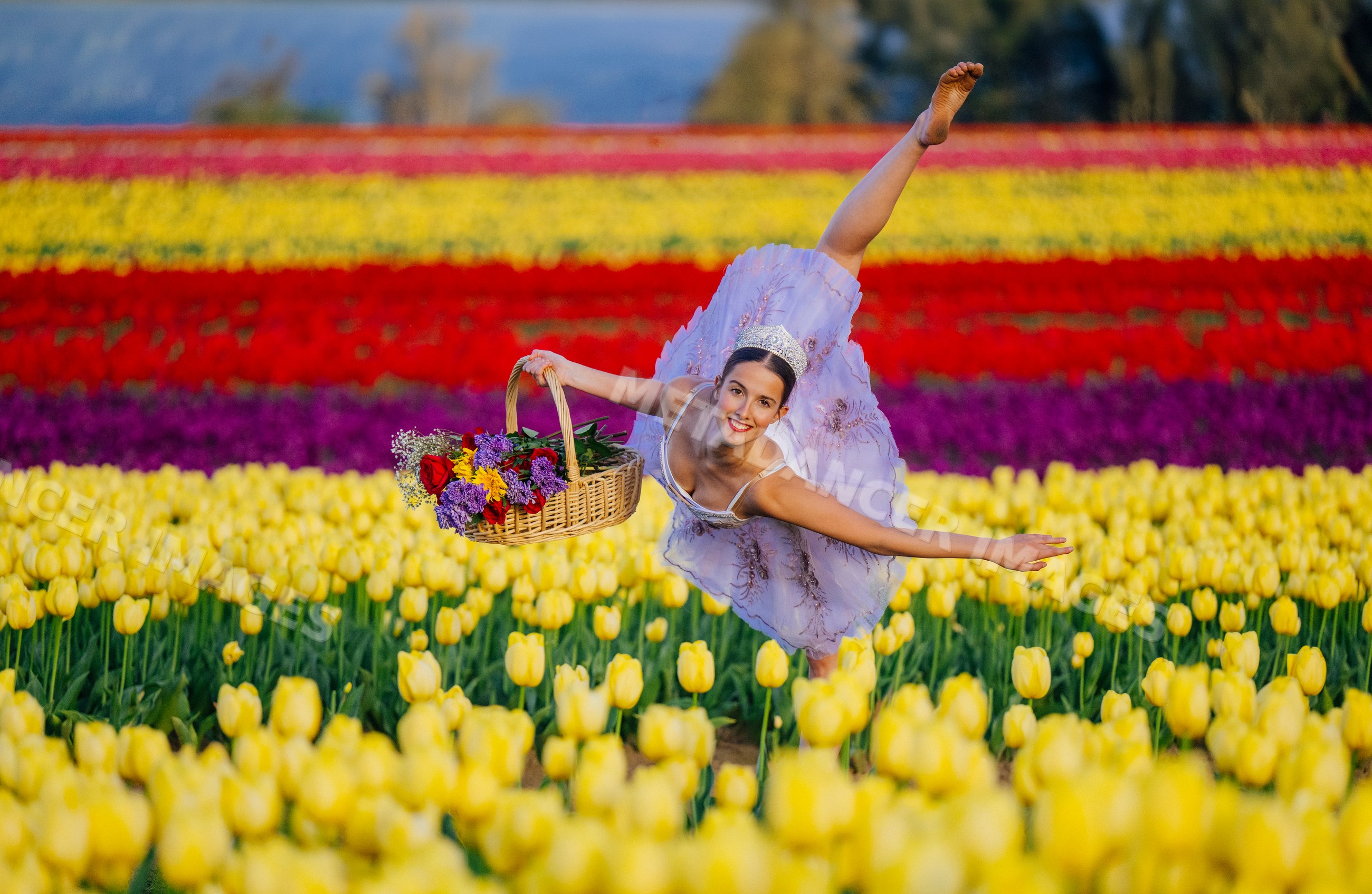 Ballet white dancer performing graceful pose in vibrant tulip field