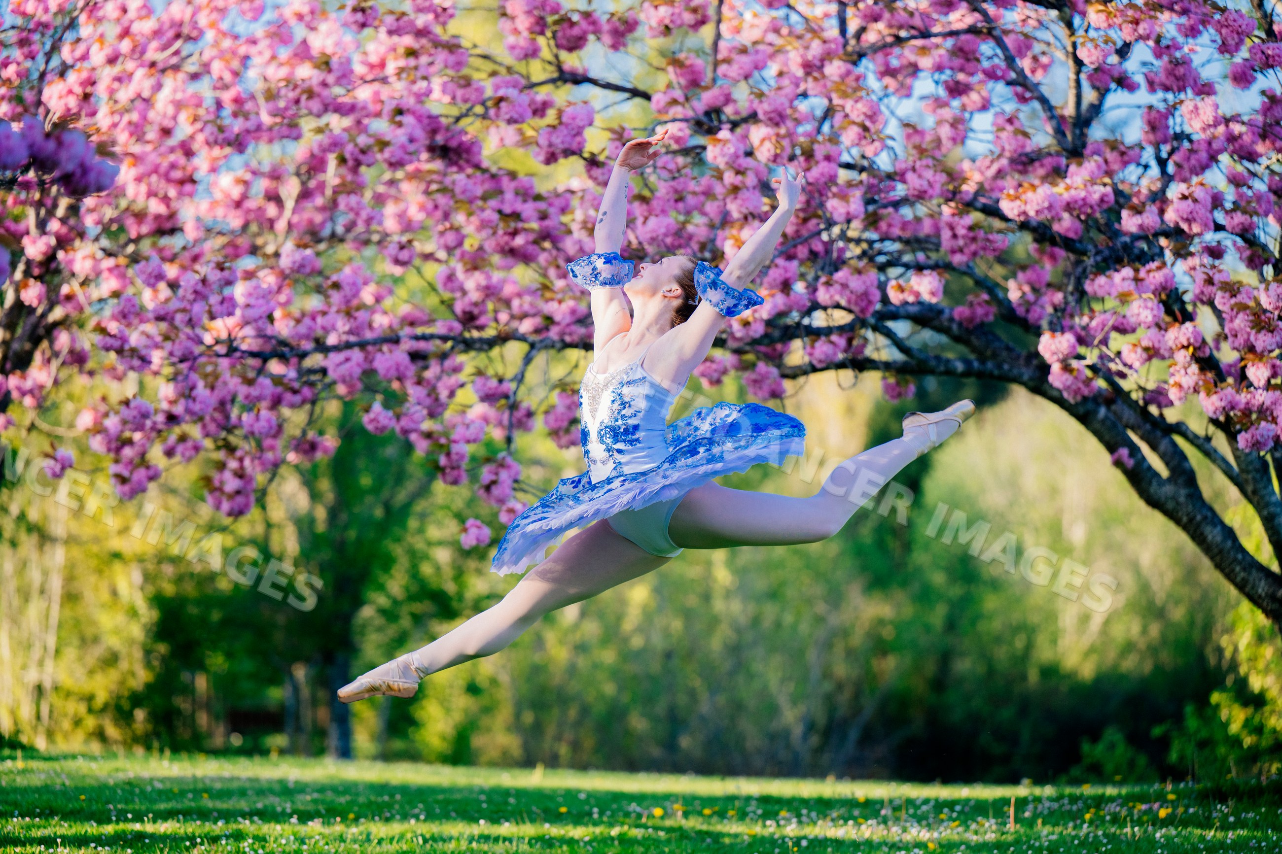 A dancer leaps gracefully outdoors