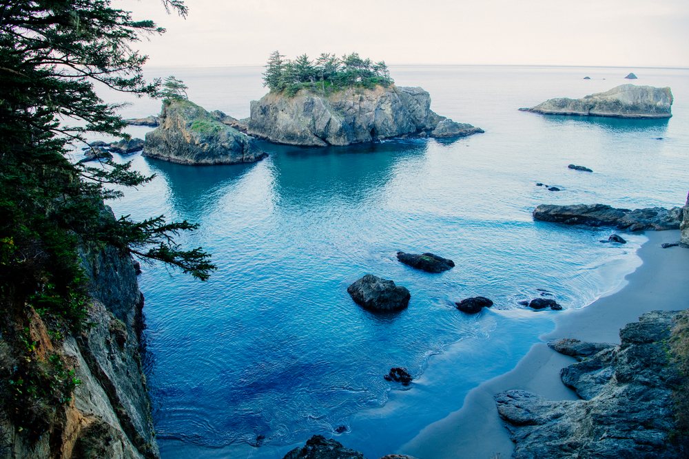 Rocky coastline with tree-covered islands, Oregon, USA