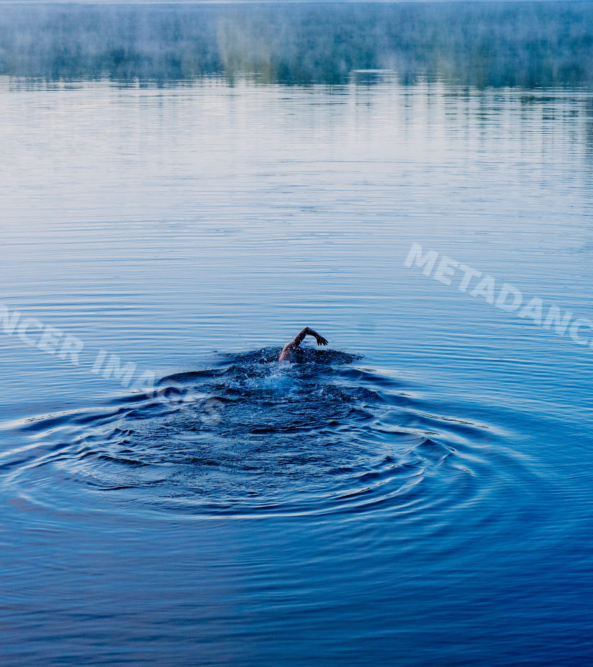 White swimmer performing freestyle stroke in calm lake water