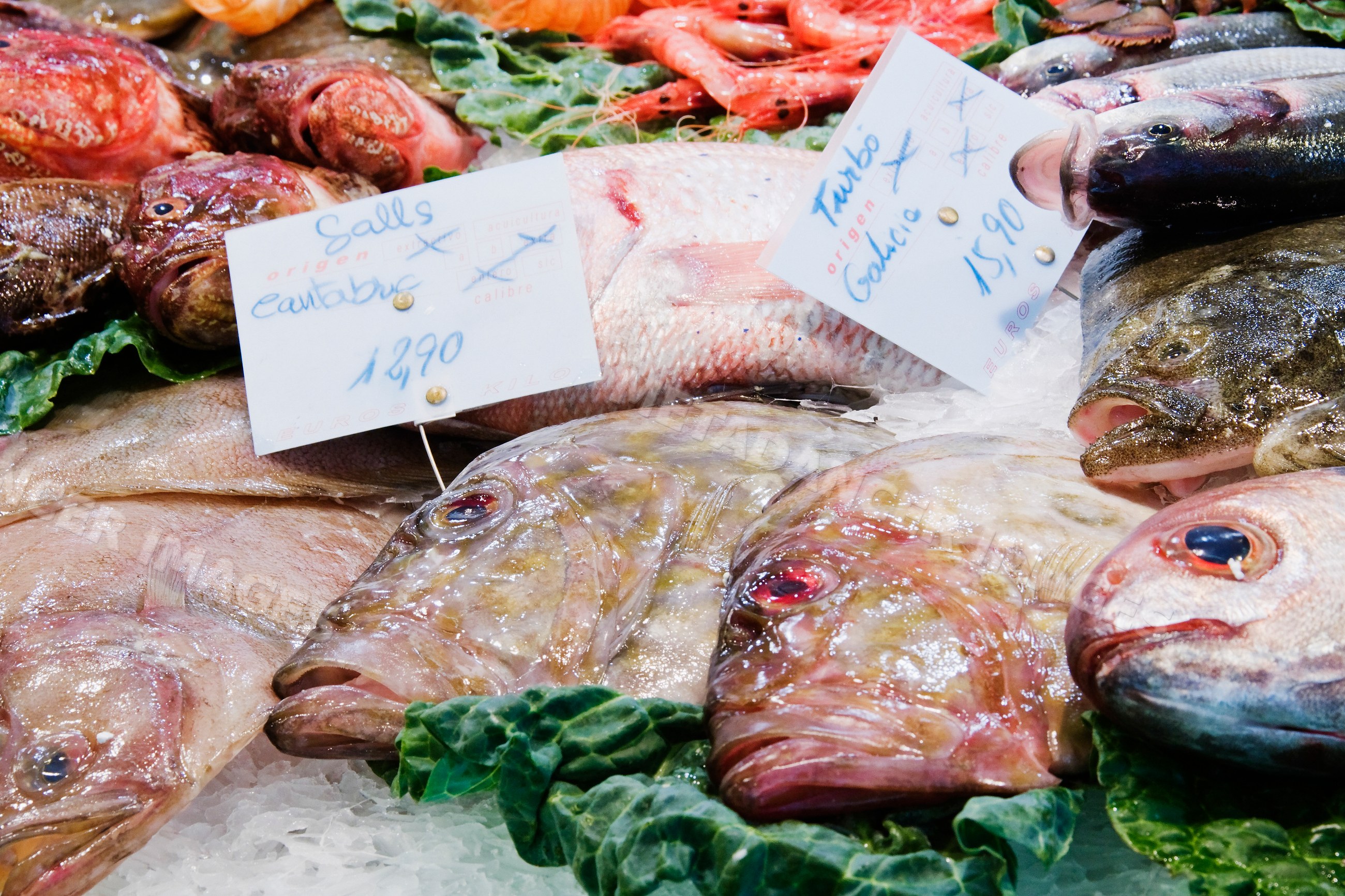 Seafood display with fresh fish and shrimp market