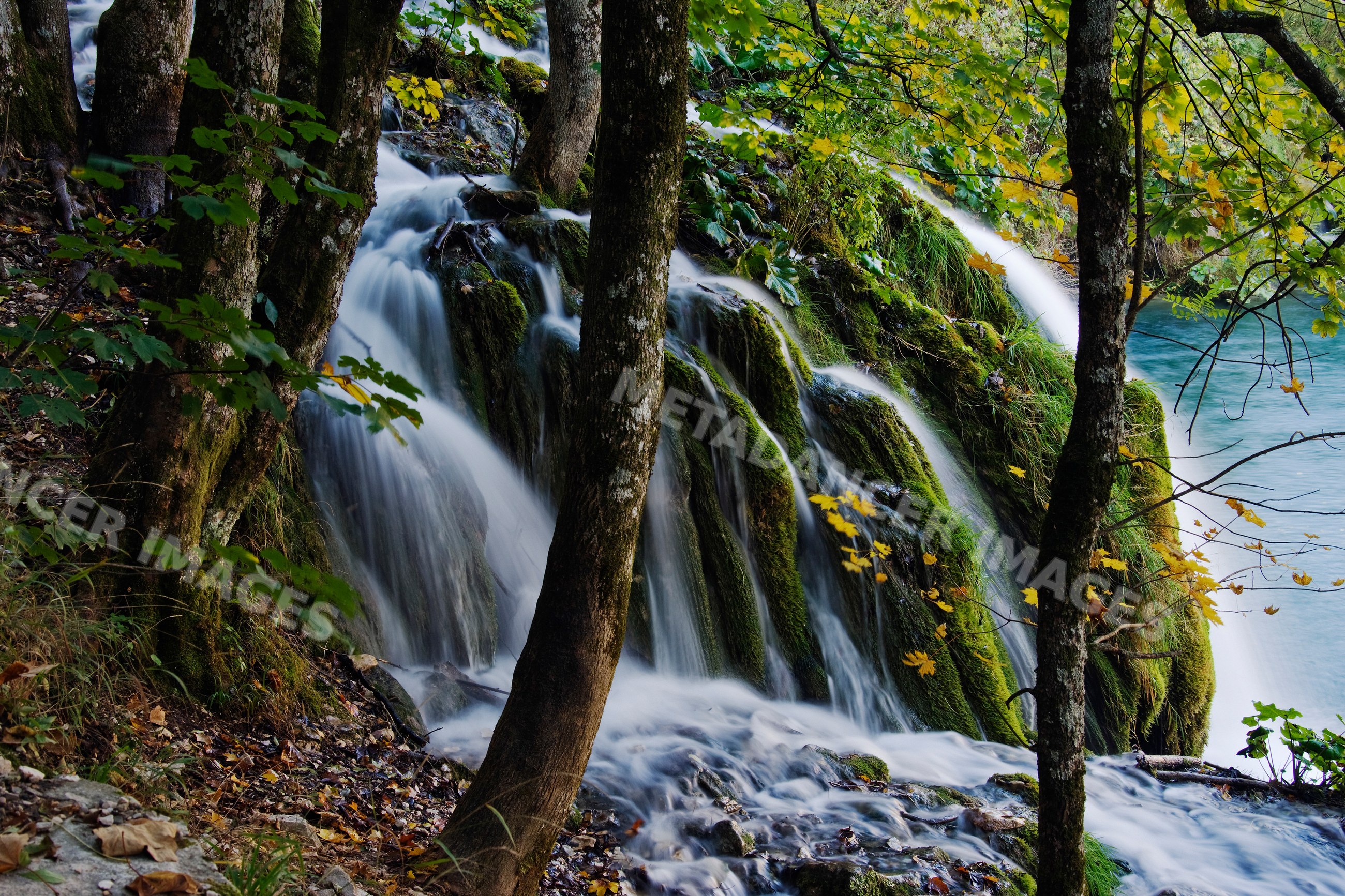 Waterfall cascading through forested mossy rocks