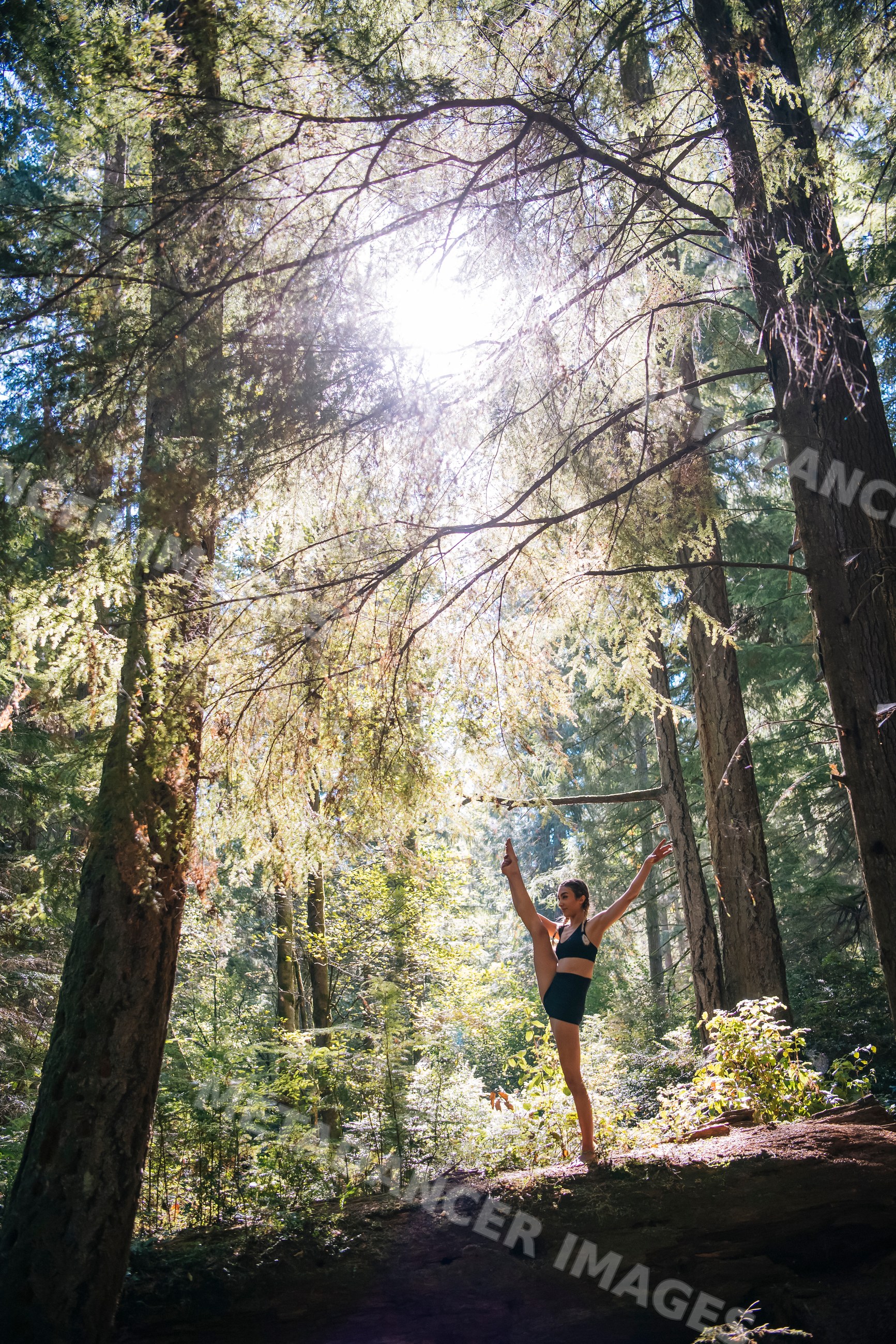 White woman stretching and balancing in sunlit forest in Tacoma