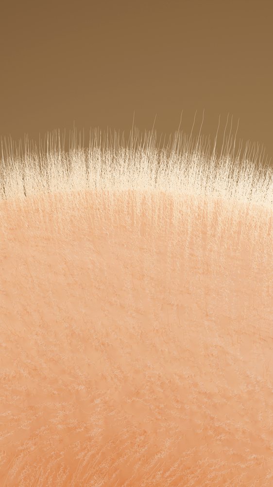 Close-up illustration of human skin texture with fine body hair