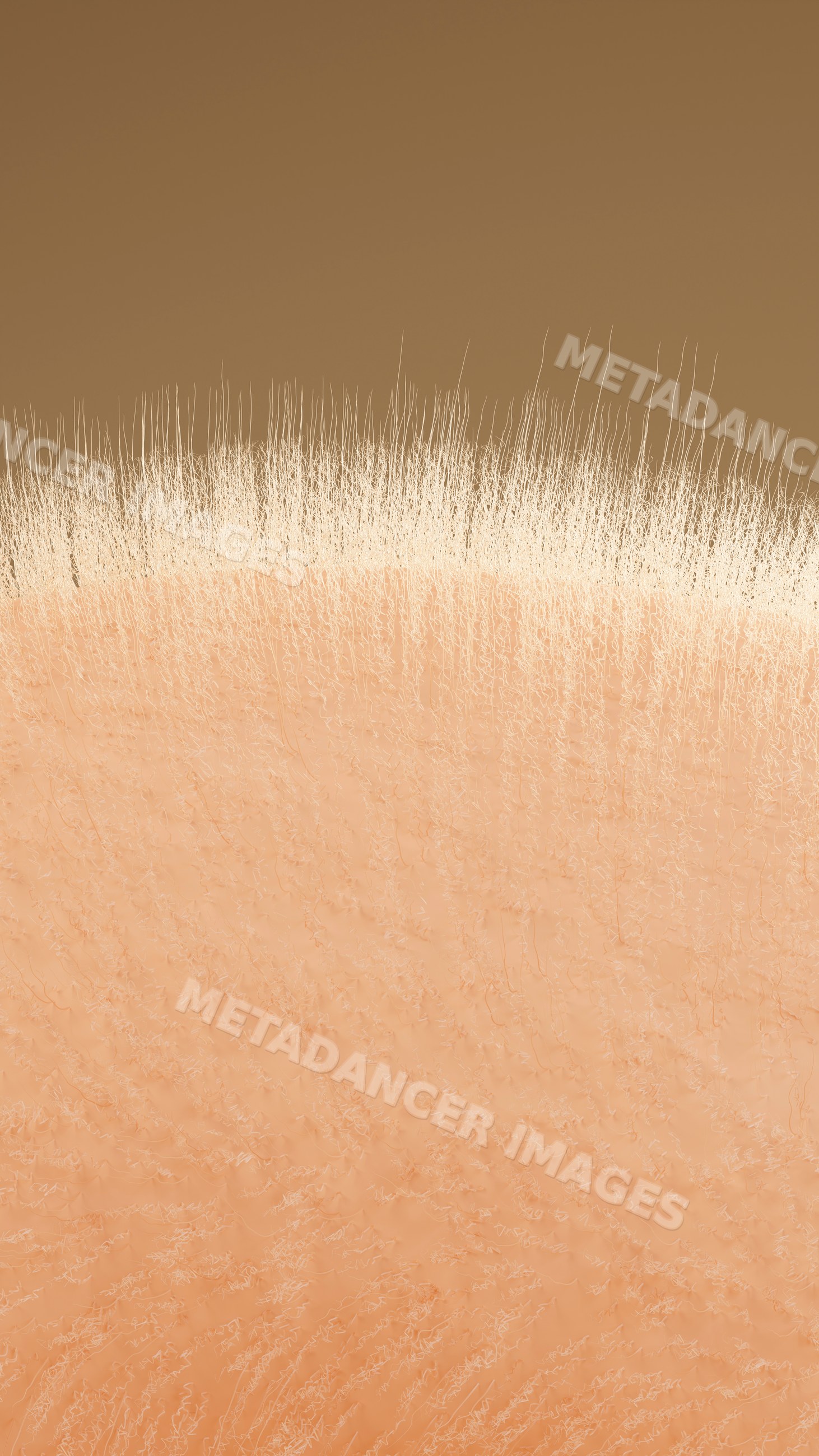 Close-up illustration of human skin texture with fine body hair