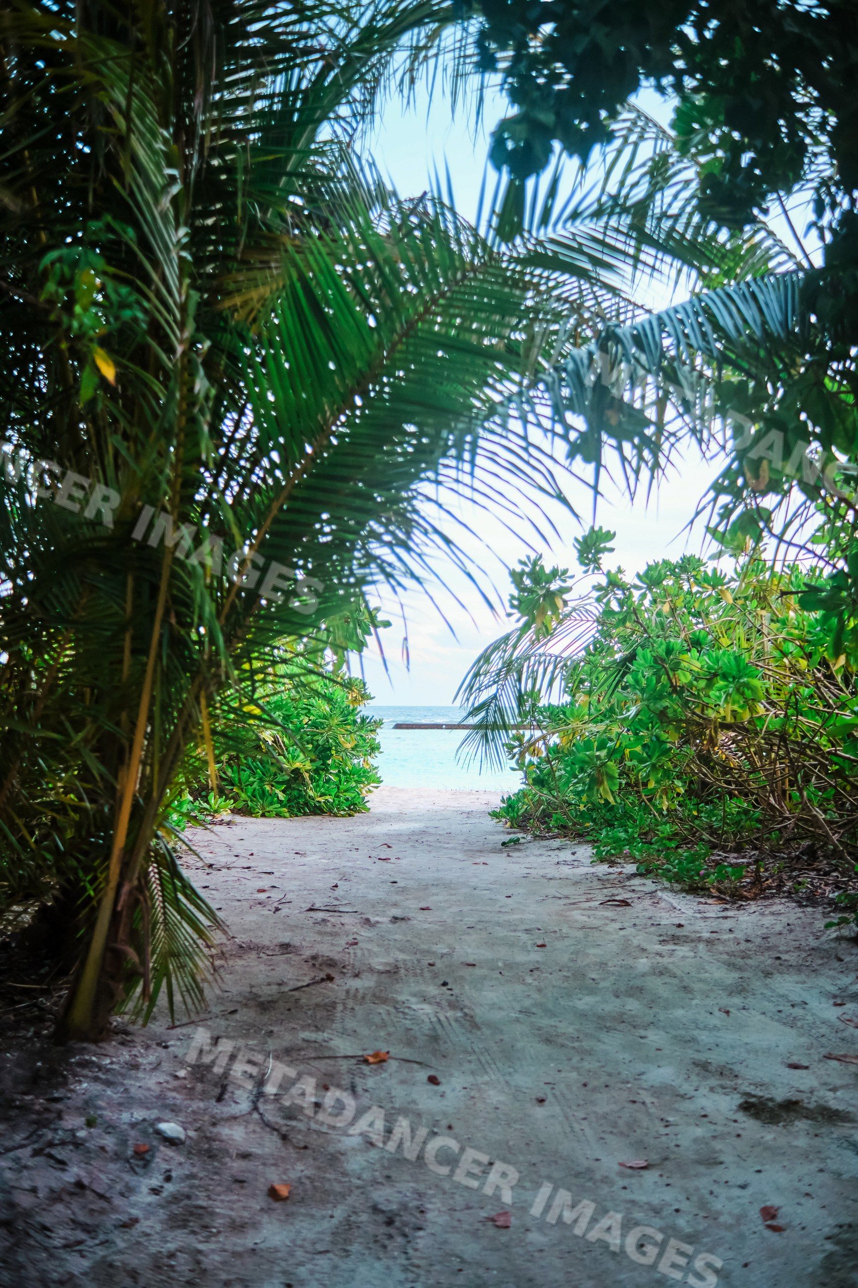 A sandy tropical path reveals a clear ocean view