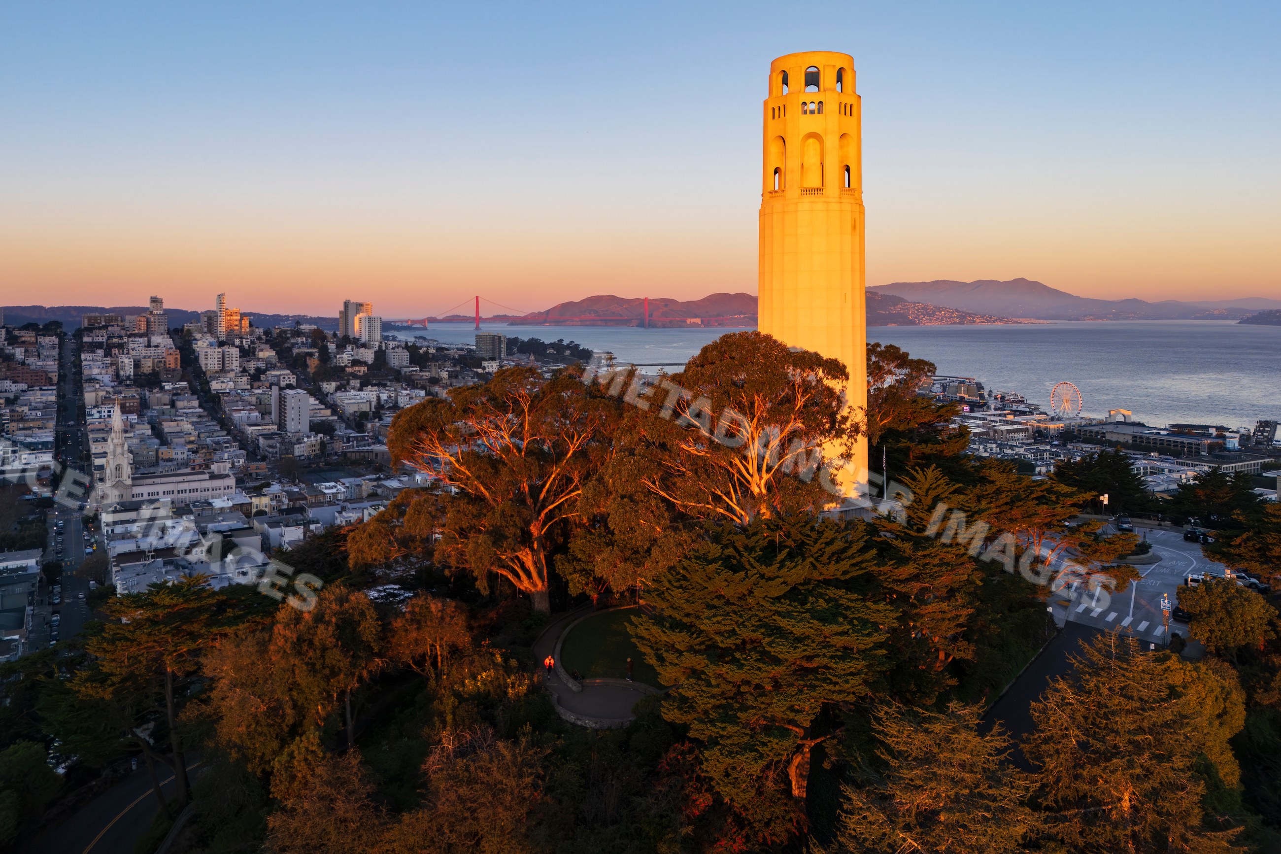 Coit tower with golden gate bridge and San Francisco cityscape
