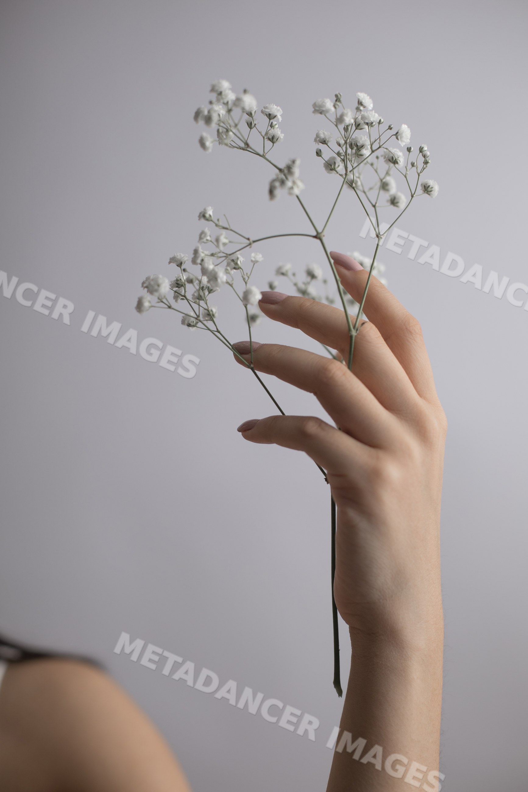 Hand holding white baby's breath flowers delicately