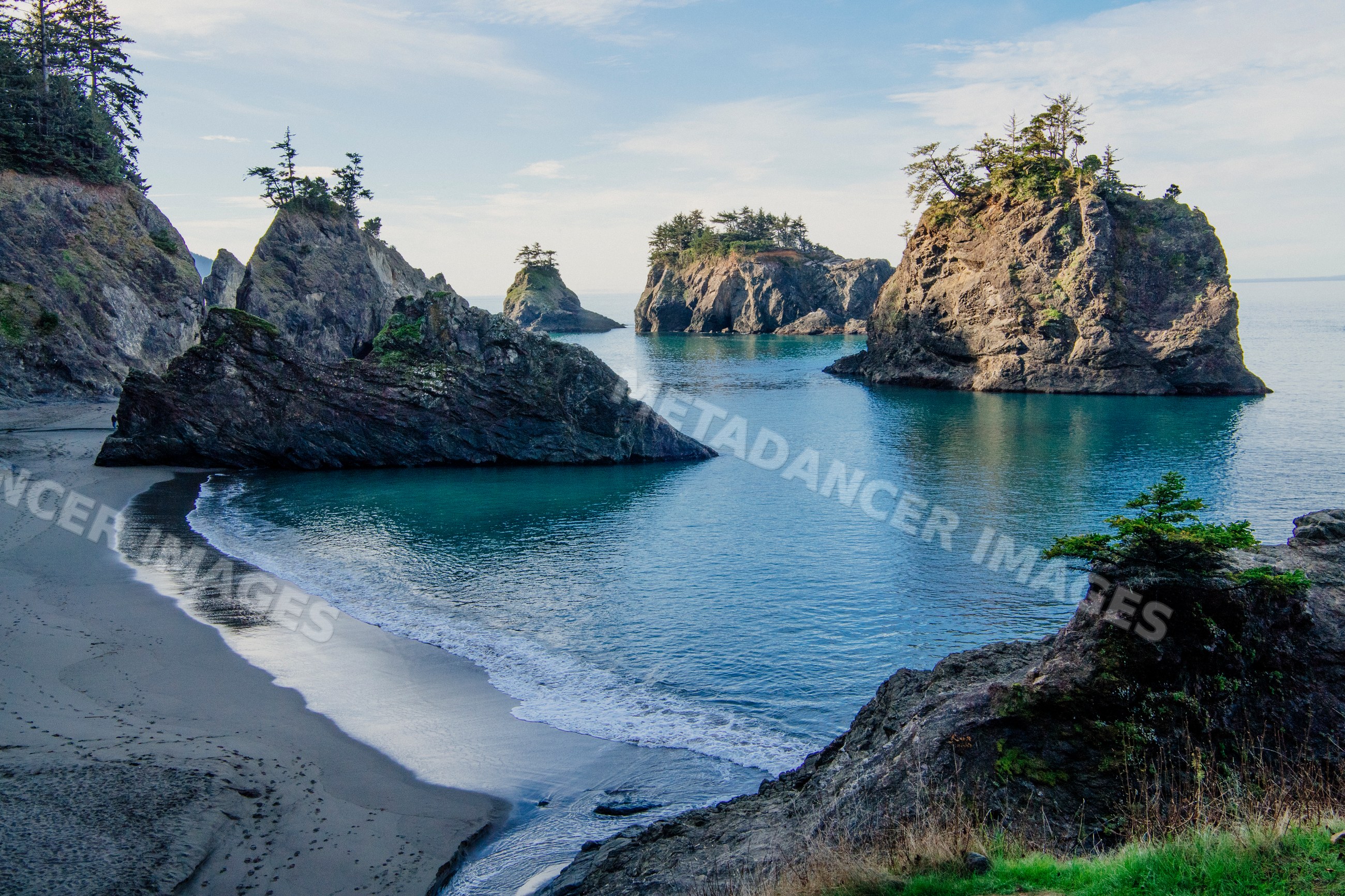 Ocean and rocky formations with pine trees Oregon