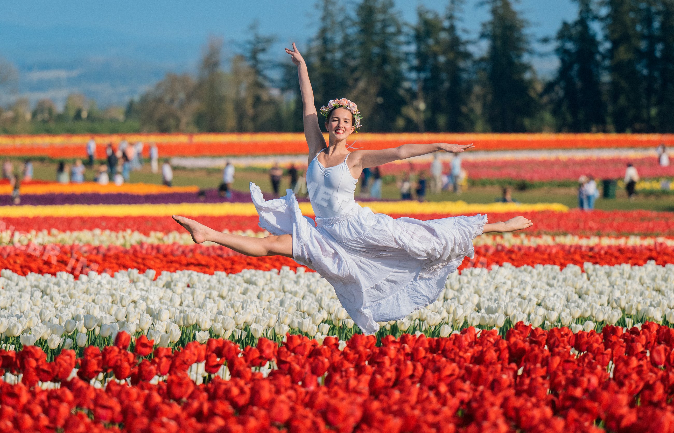 Ballet white dancer leaping in colorful tulip field outdoors