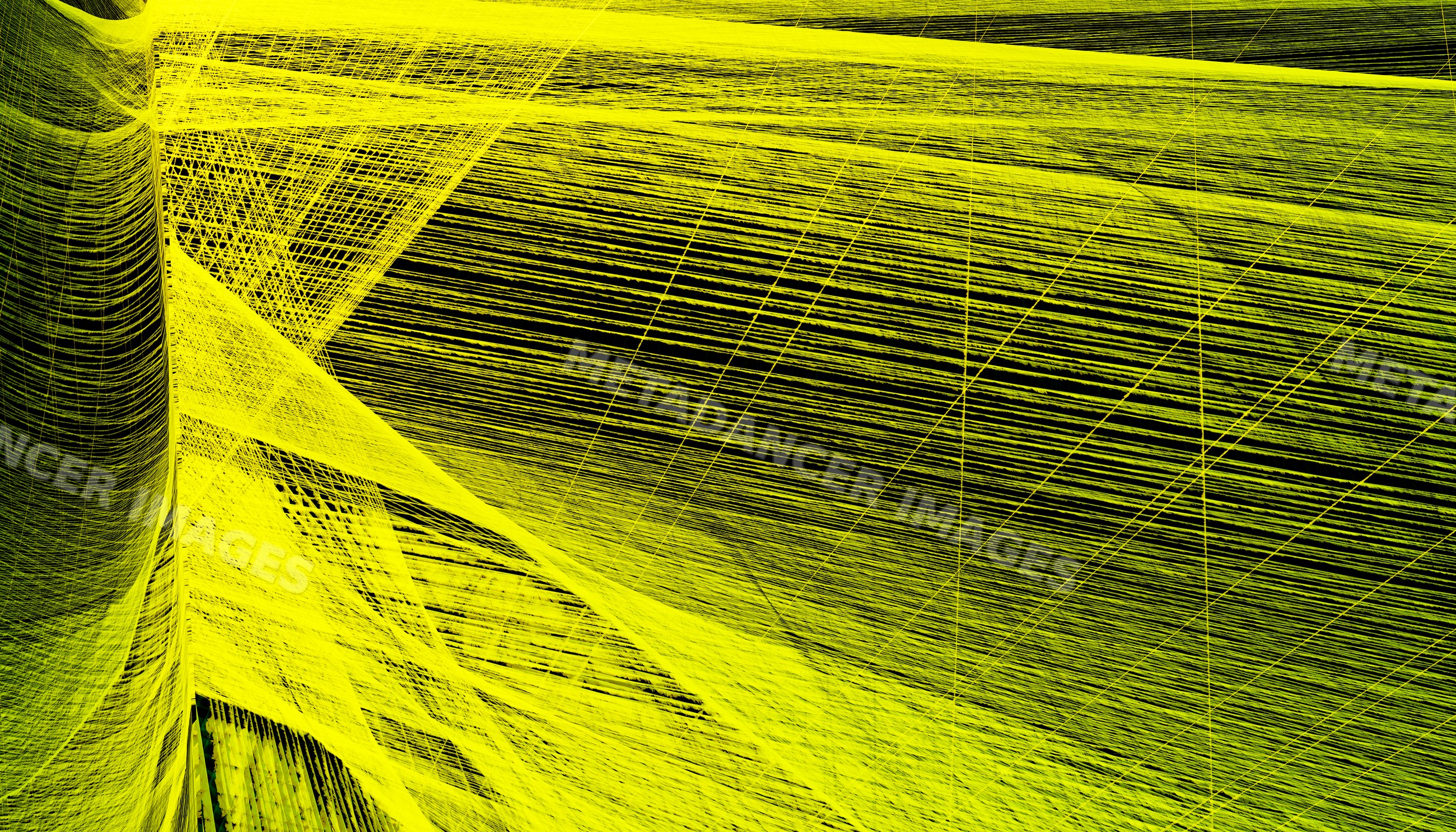 Yellow thread installation showcasing an intricate abstract web