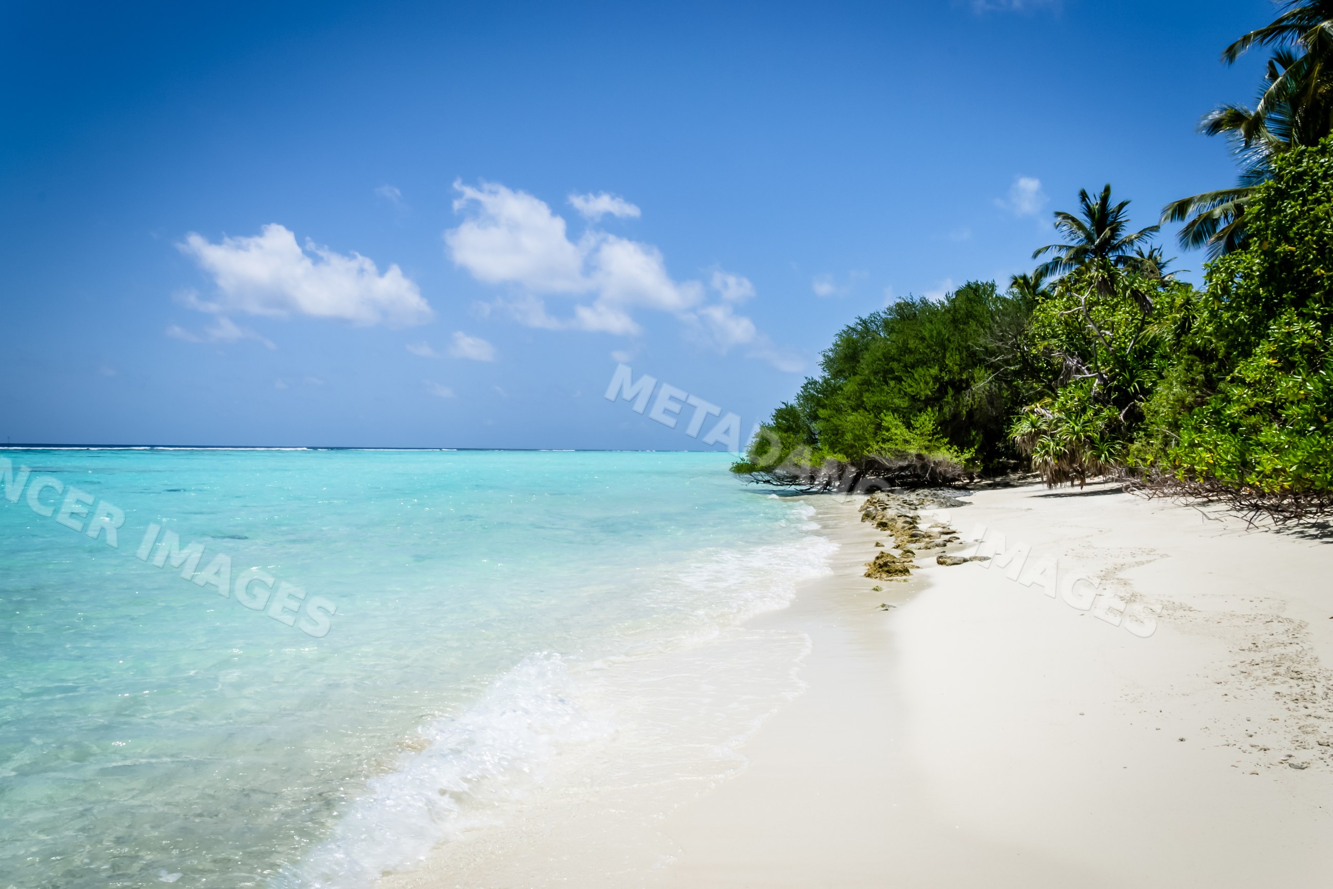 Beach with tropical trees and ocean waves in a beach