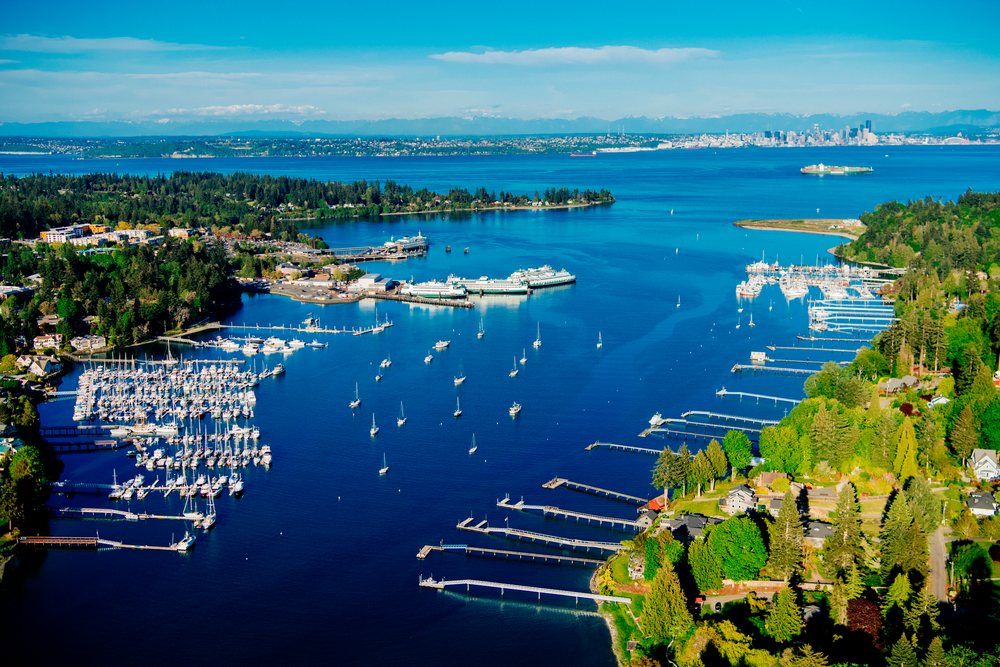 Aerial view of Eagle Harbor with boats and seattle skyline across