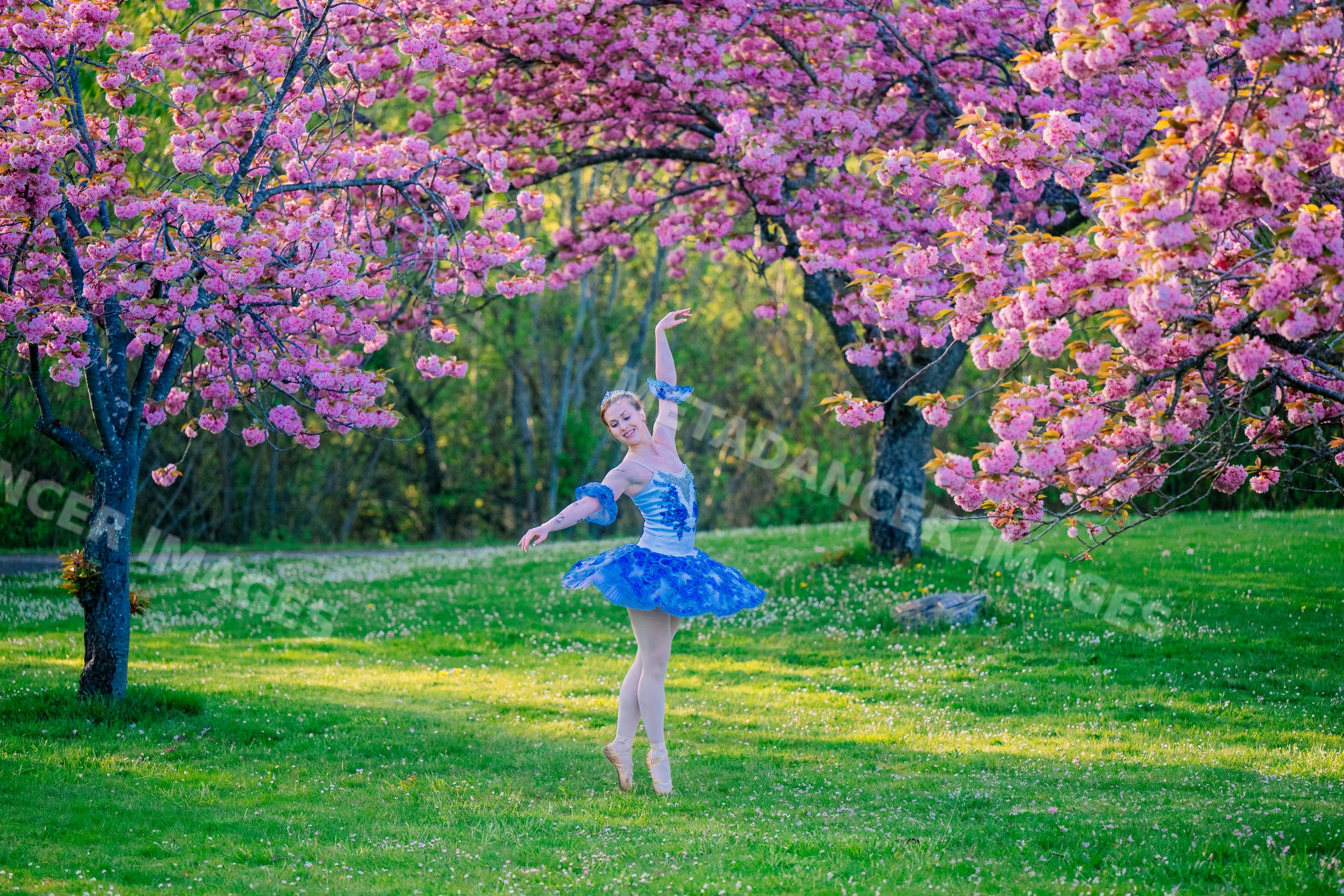 Ballerina in blue tutu dances gracefully