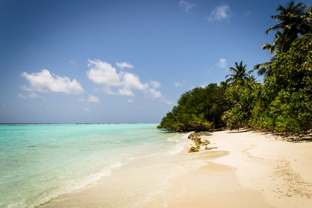 Tropical beach with turquoise water and palm trees in a beach