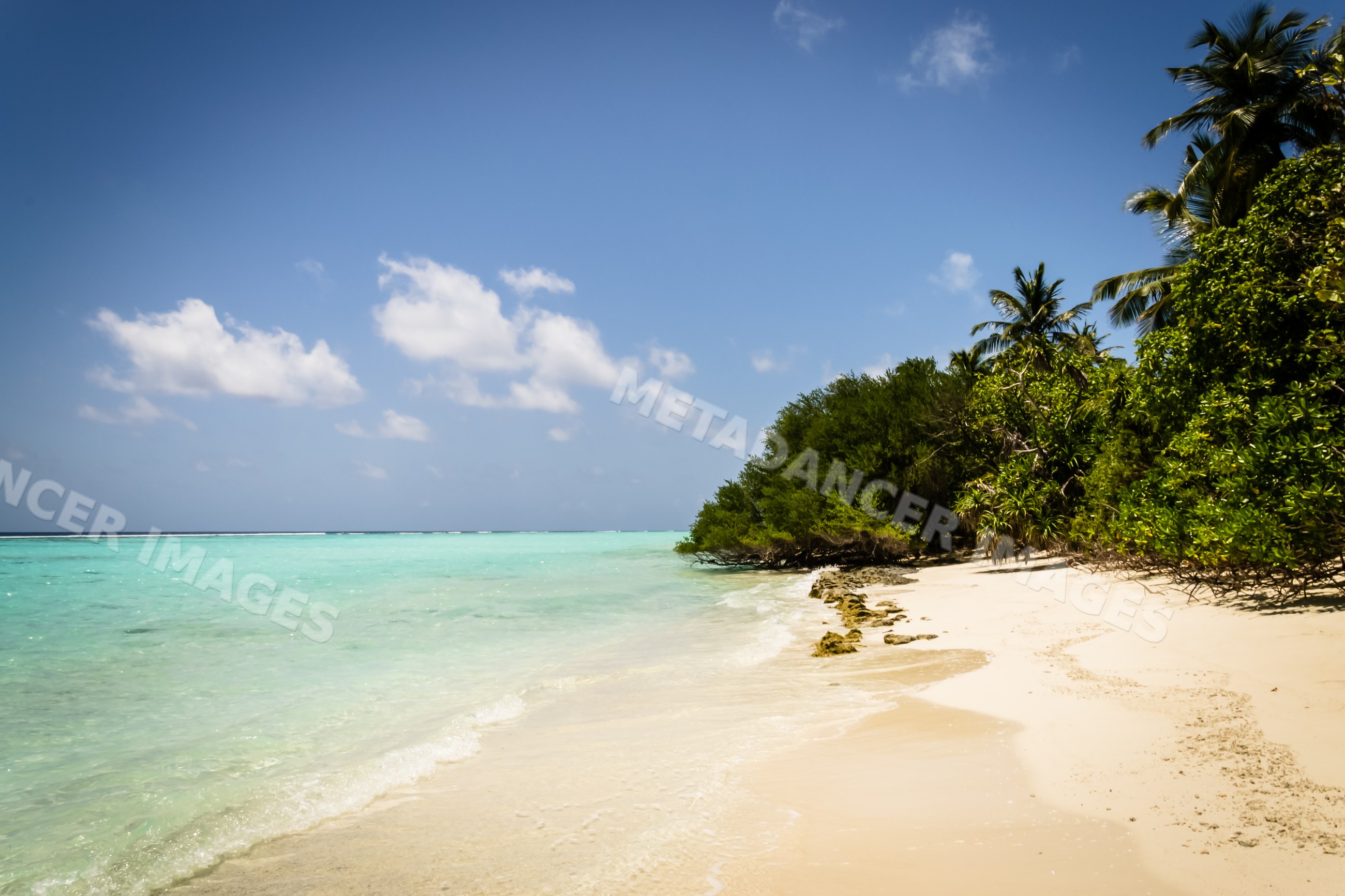 Tropical beach with turquoise water and palm trees in a beach