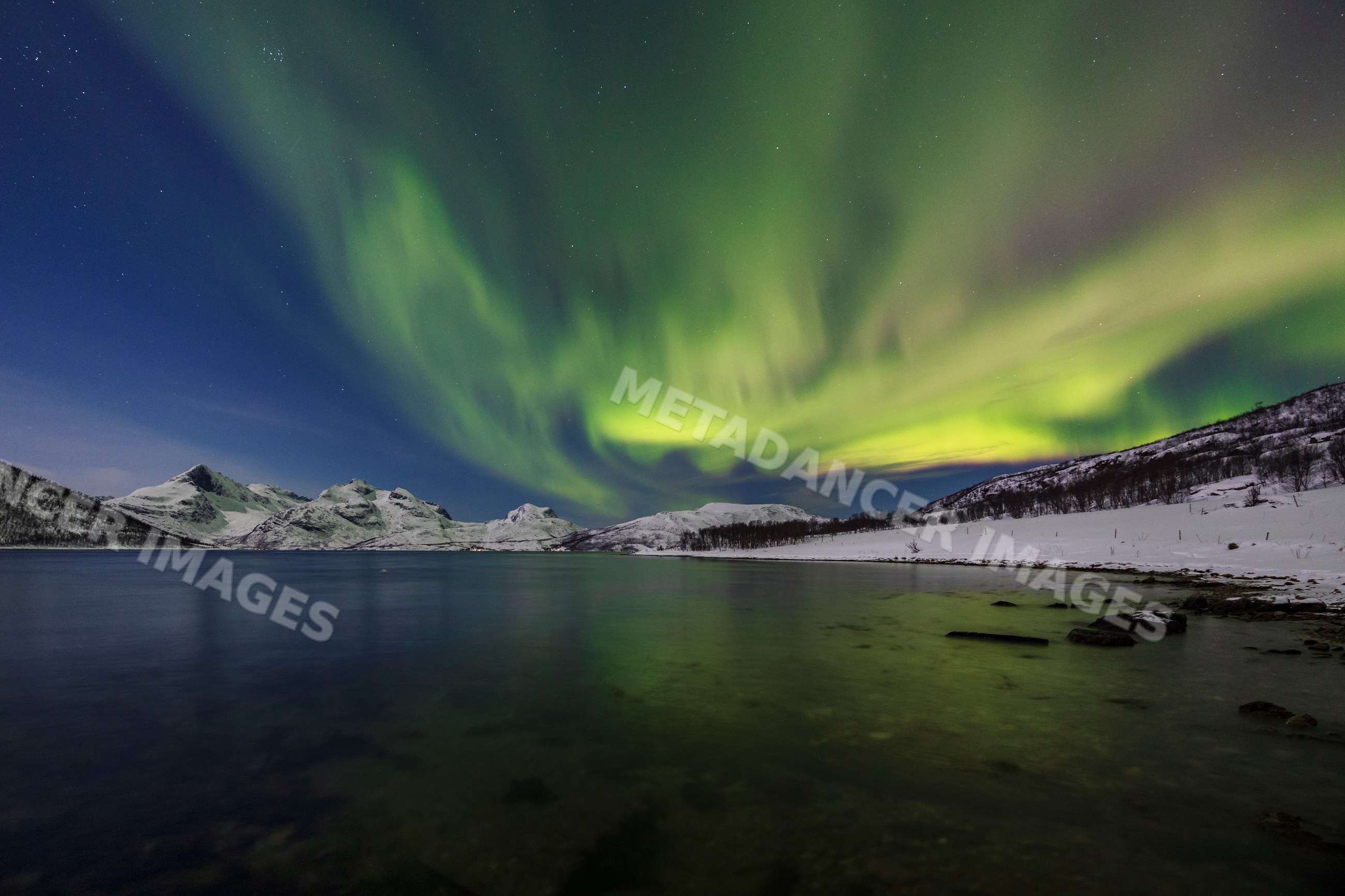 Northern Lights over snowy mountains and lyfjorden fjord