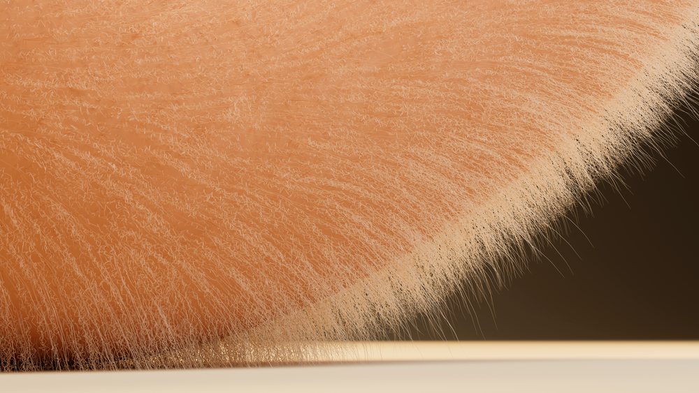 Close-up digital illustration of brown fur with detailed hair strands