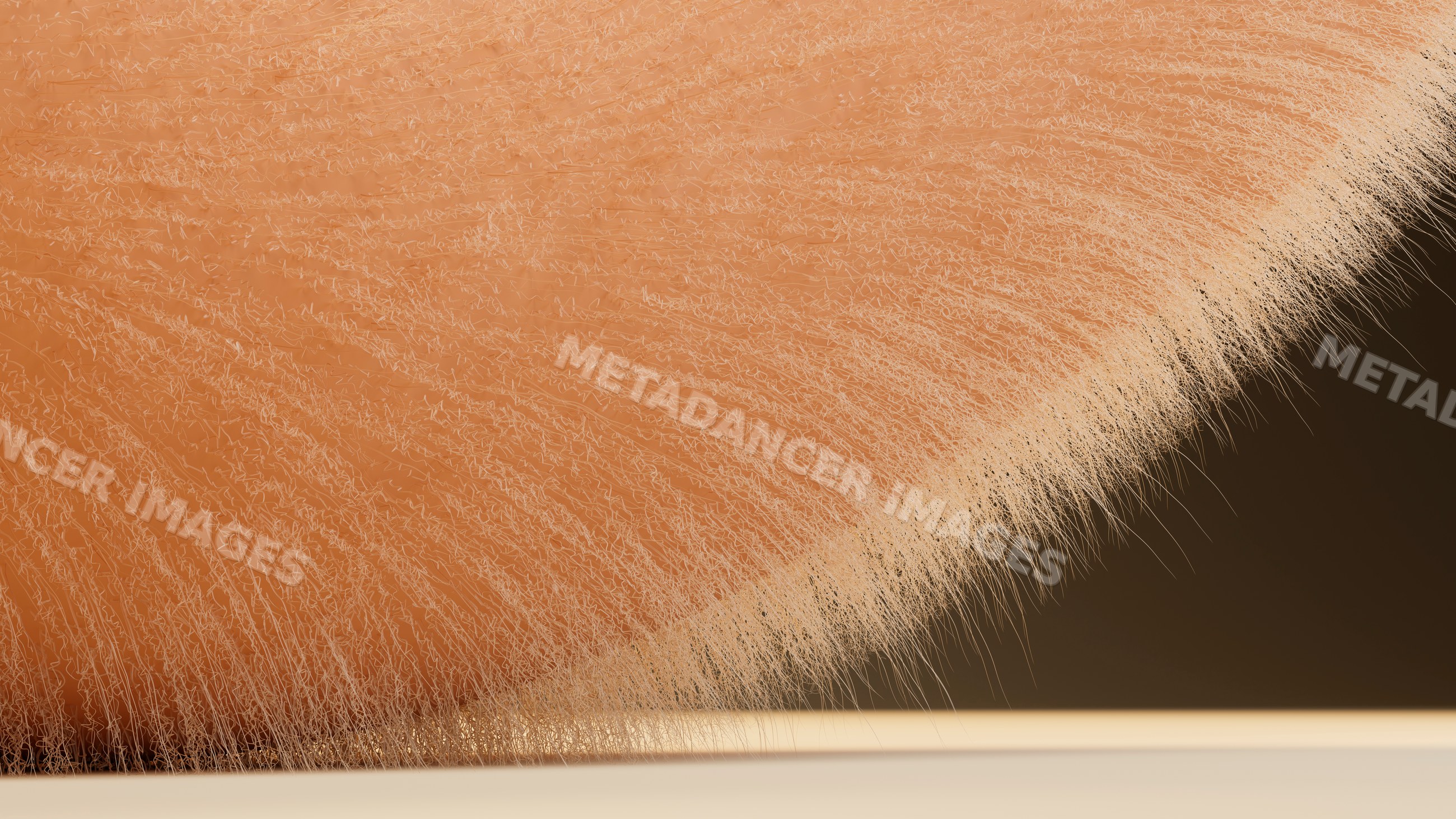 Close-up digital illustration of brown fur with detailed hair strands