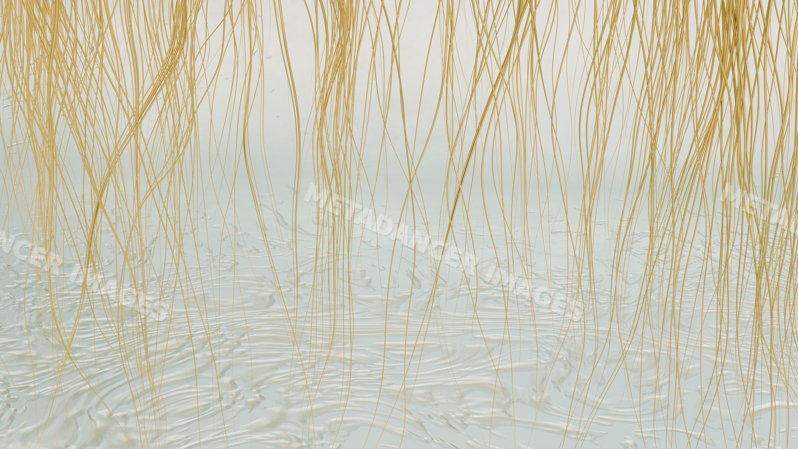 Thin grass strands hanging over rippling water surface