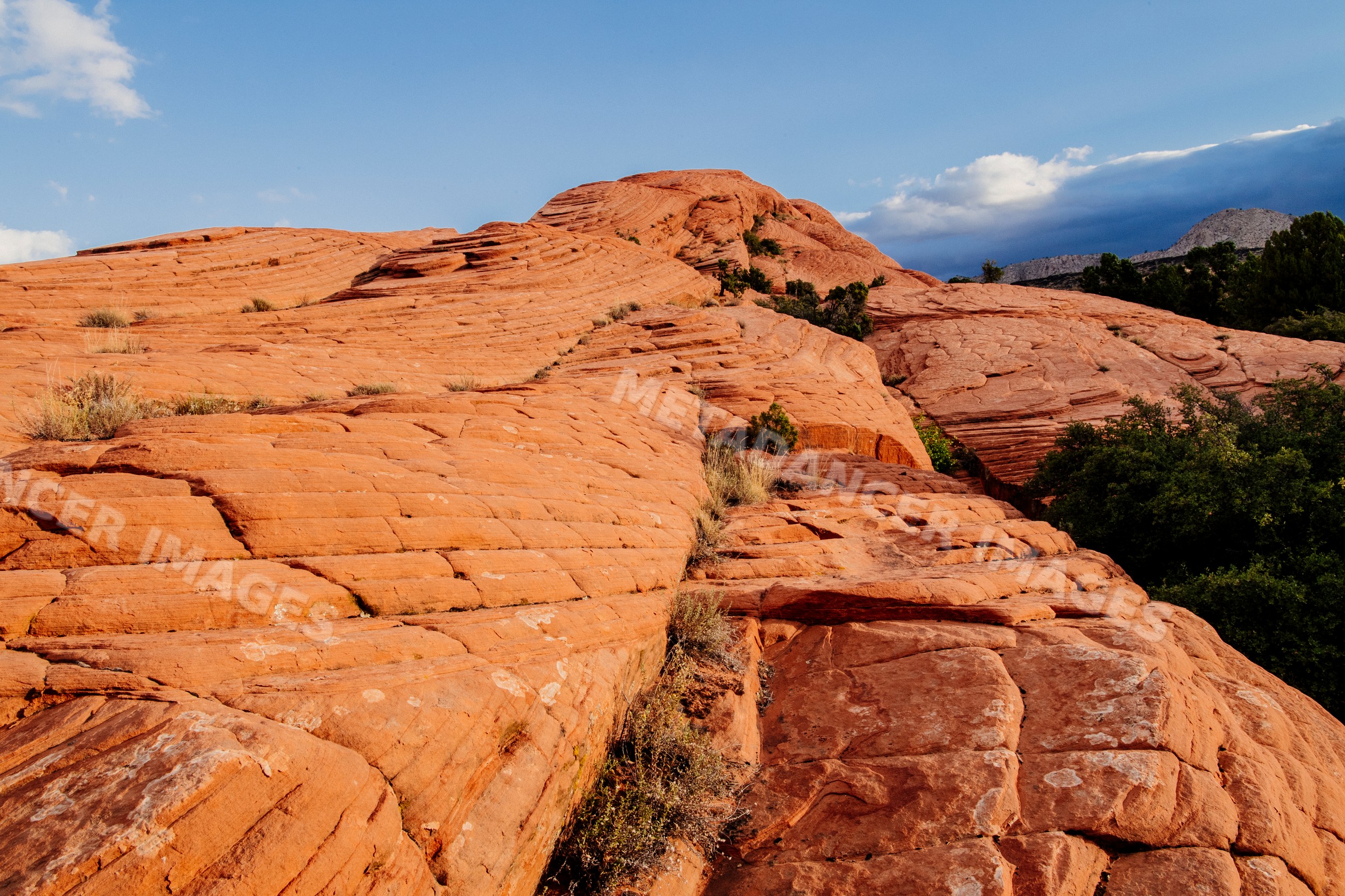 Red sandstone rock formation in red Cliffs Desert State Park, Utah