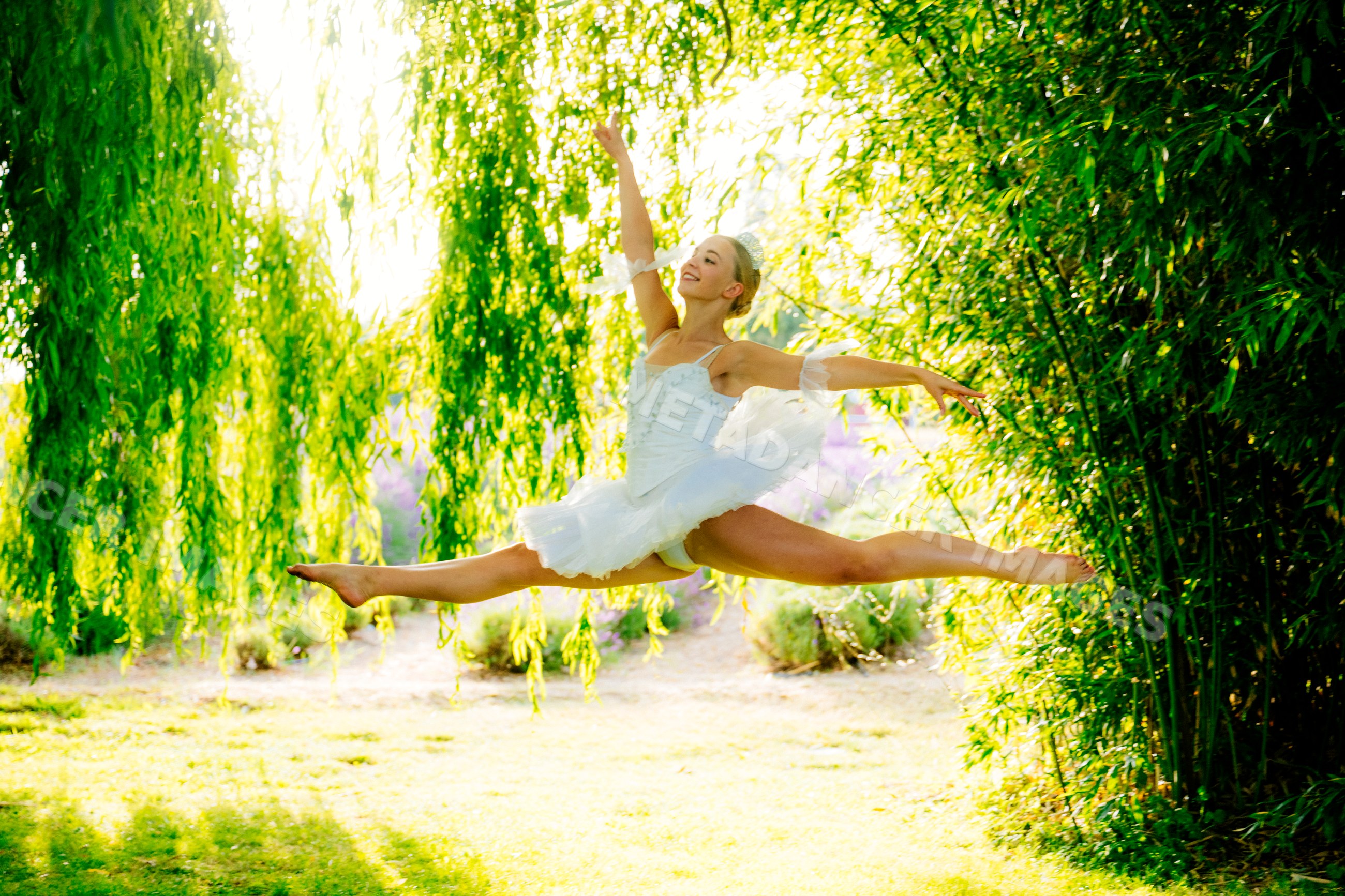A ballet white dancer leaps gracefully outdoors beneath willow trees
