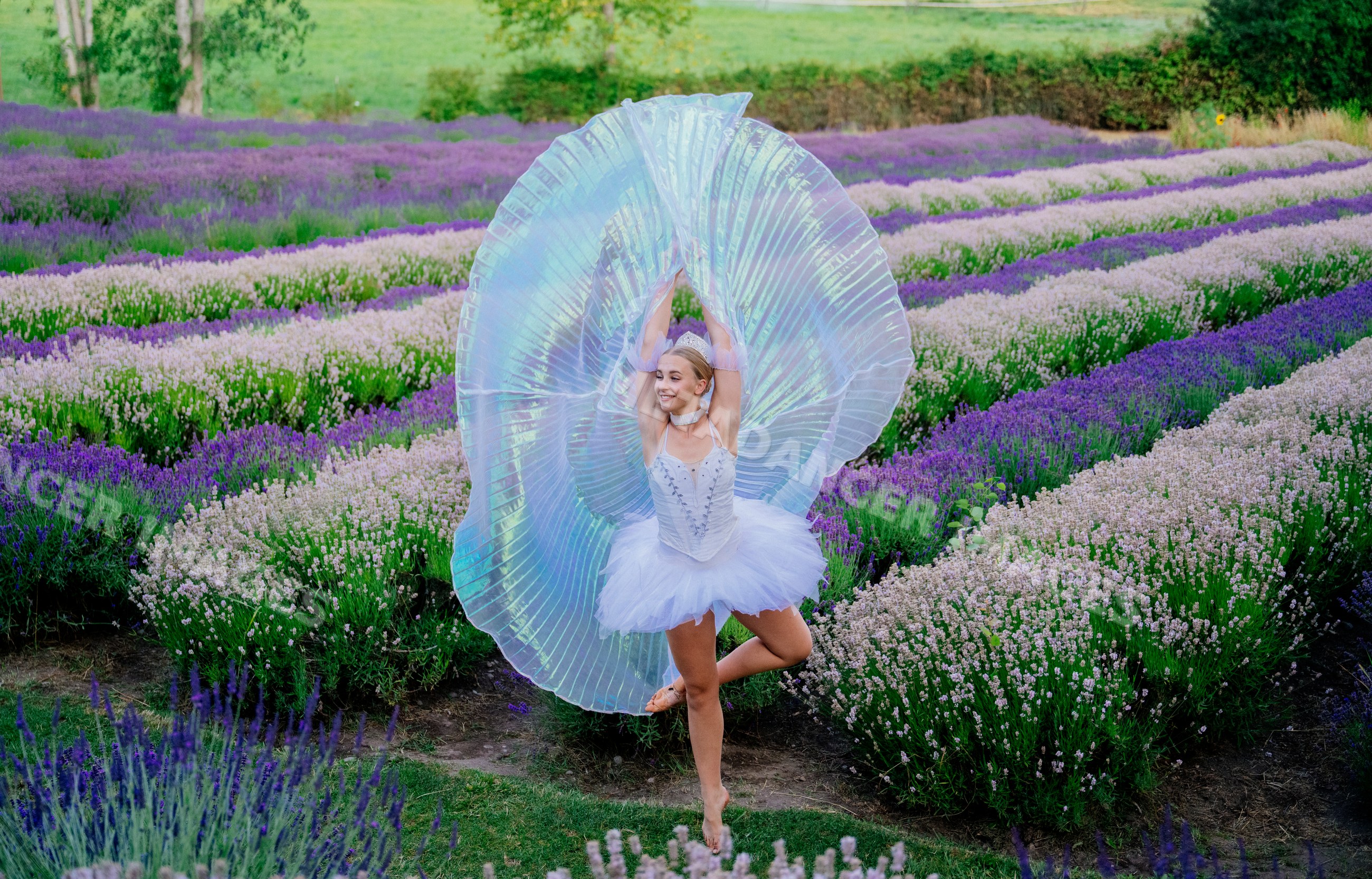 A ballerina performs gracefully in a lavender field in WA, USA