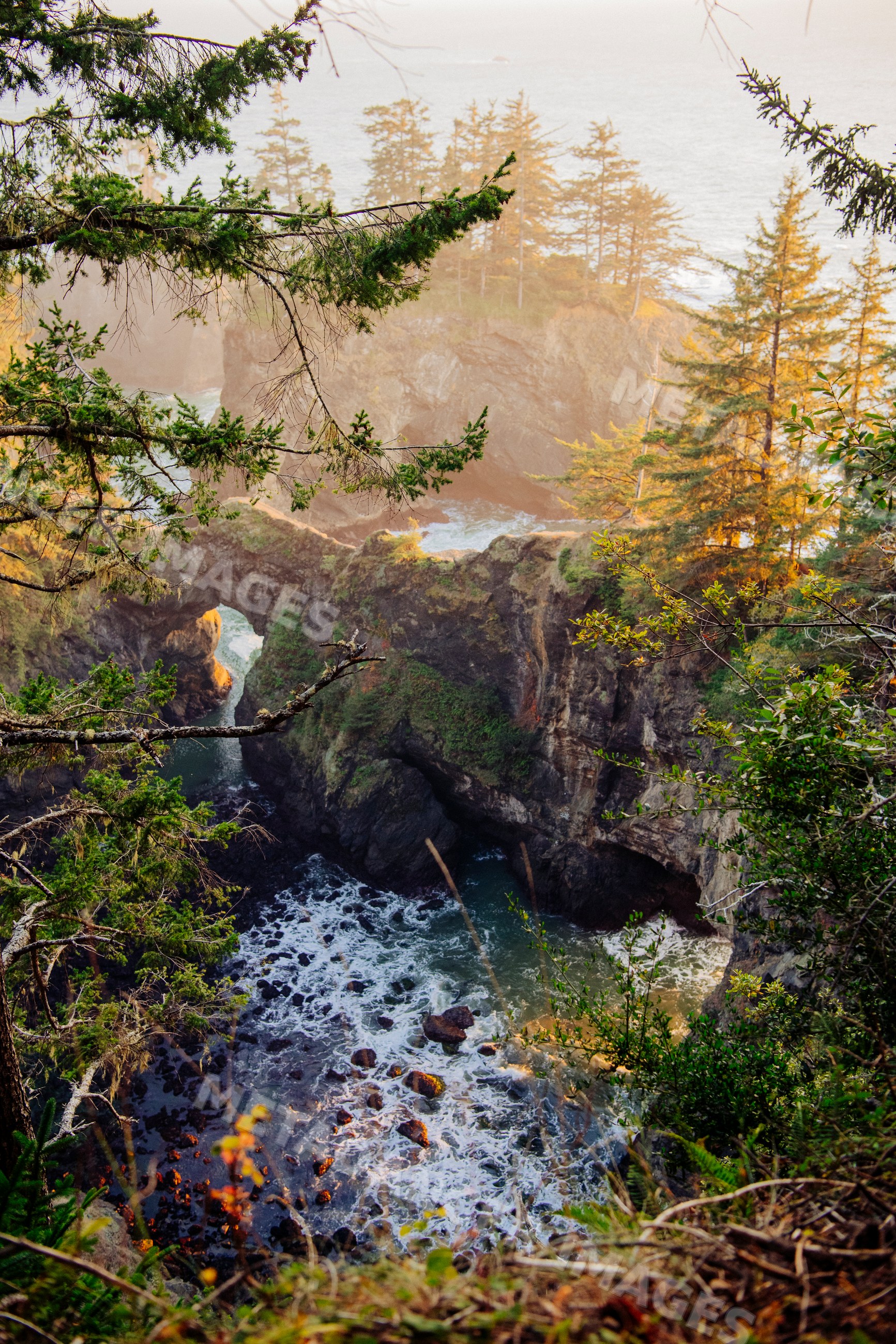 Rock arch at ocean cove Oregon
