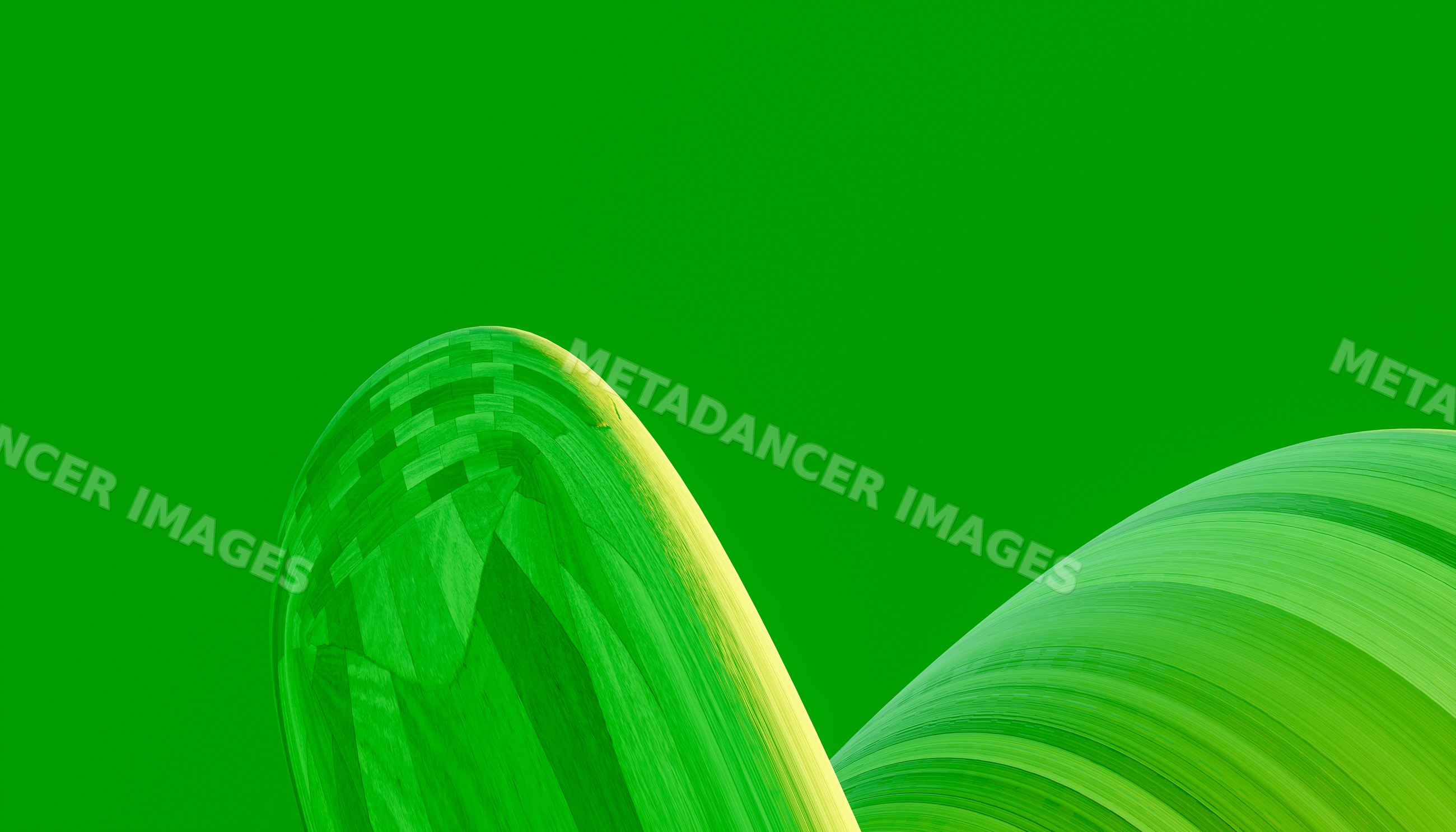 Abstract curved wooden shapes with vibrant green textures on green