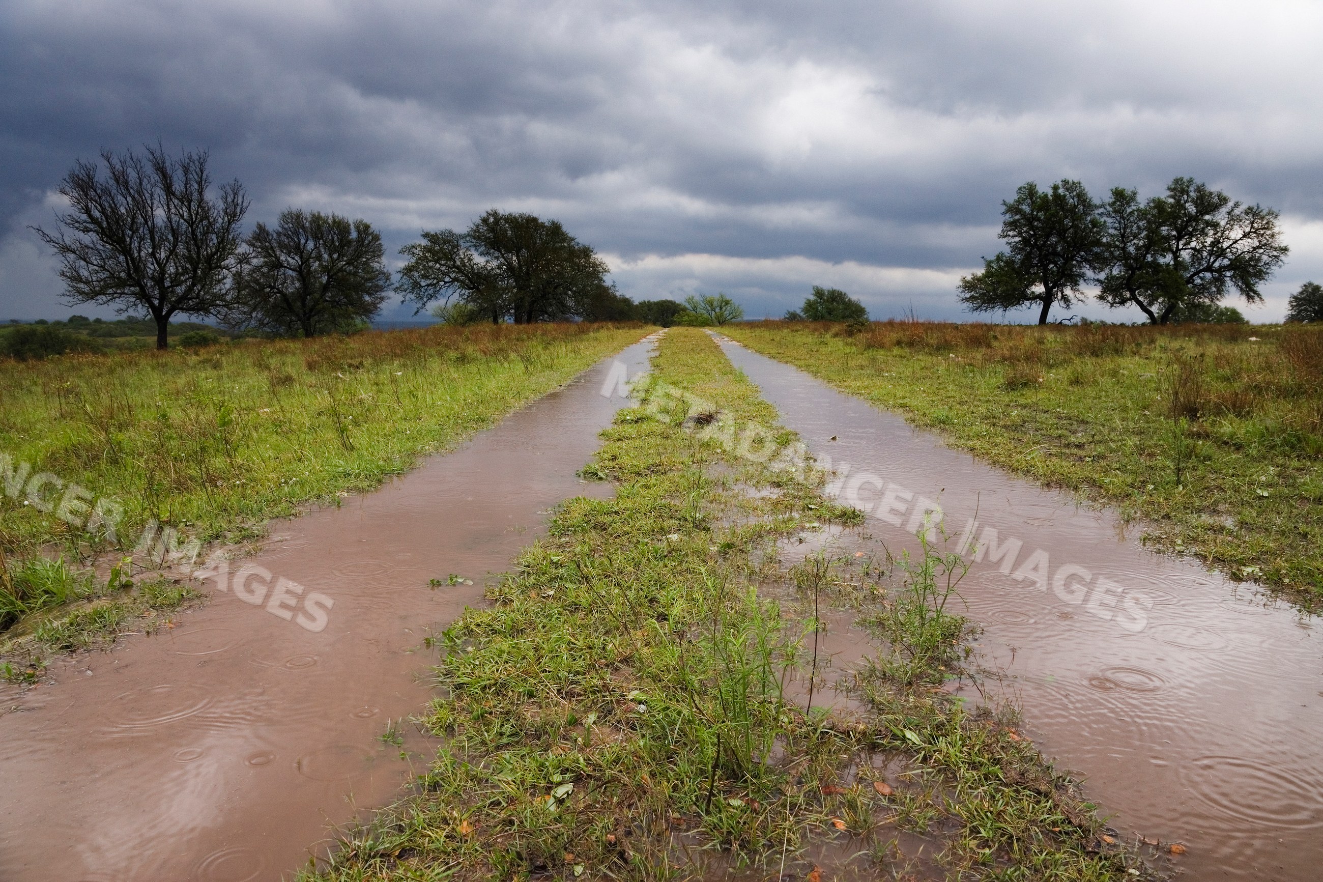 Flooded country road with stormy sky in rural Texas, USA