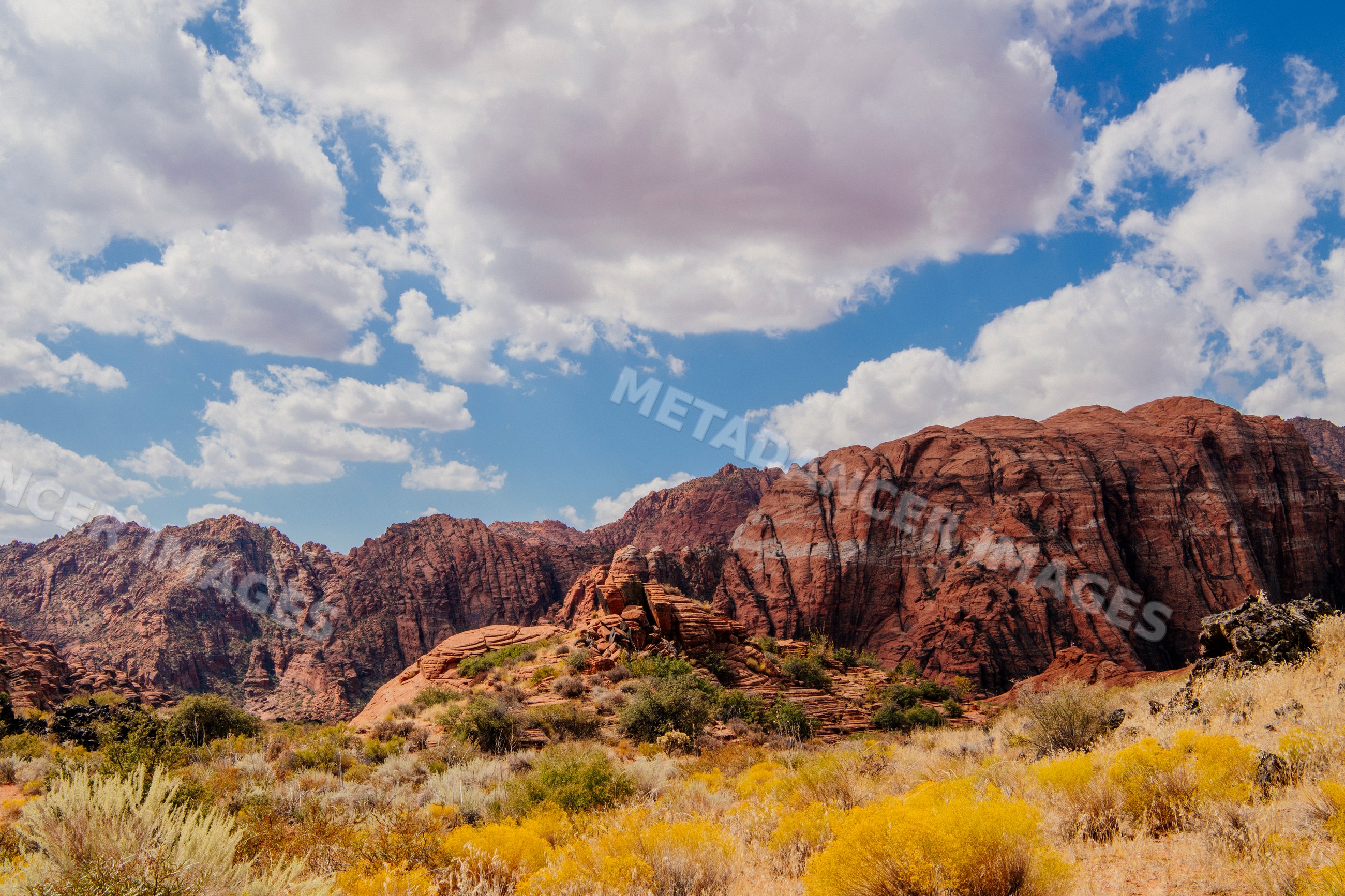 Red Cliffs Desert mountains and desert vegetation under a blue cloudy