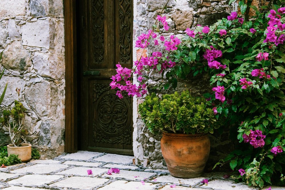 Doorway with terracotta pot and flowering bougainvillea mexico