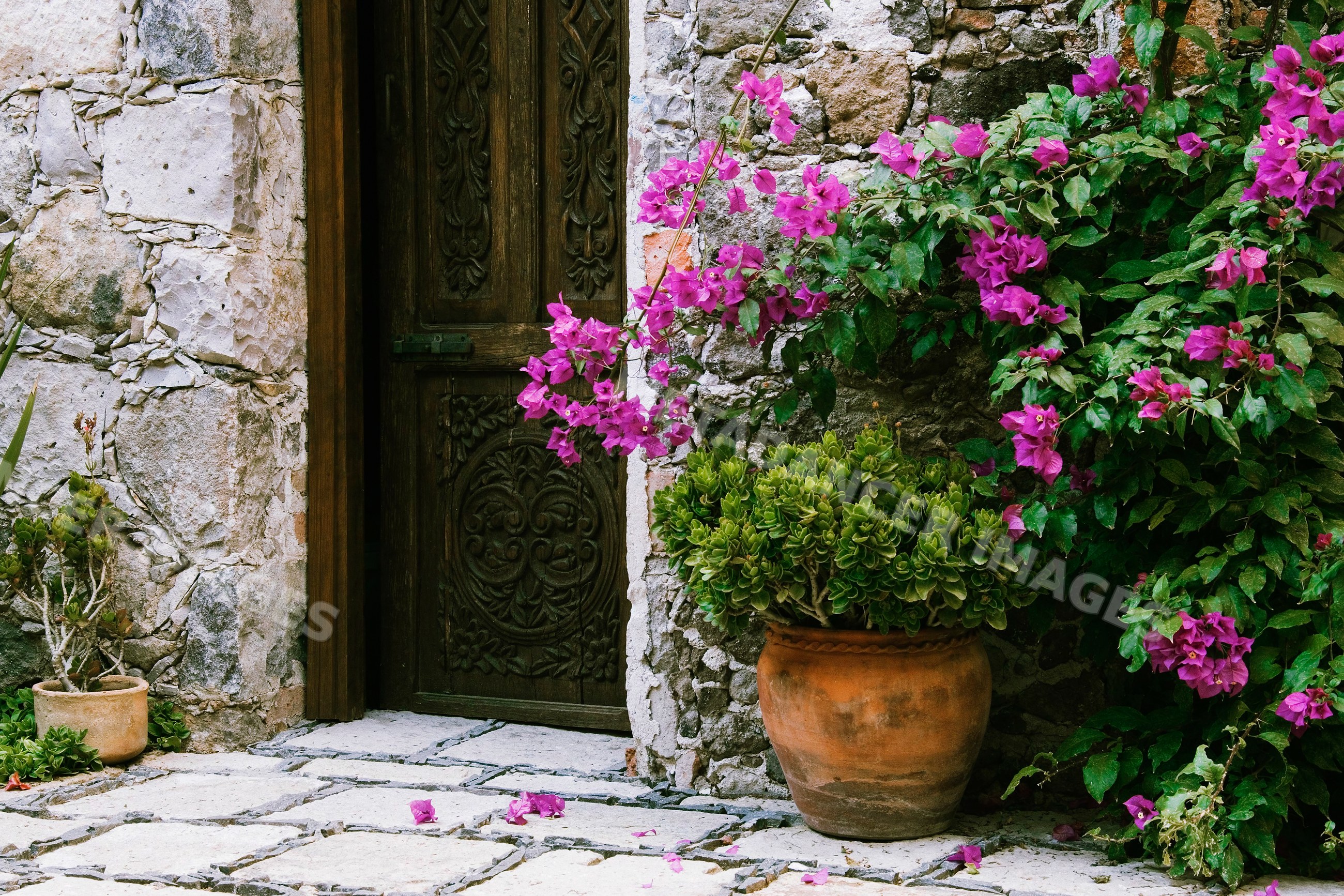 Doorway with terracotta pot and flowering bougainvillea mexico