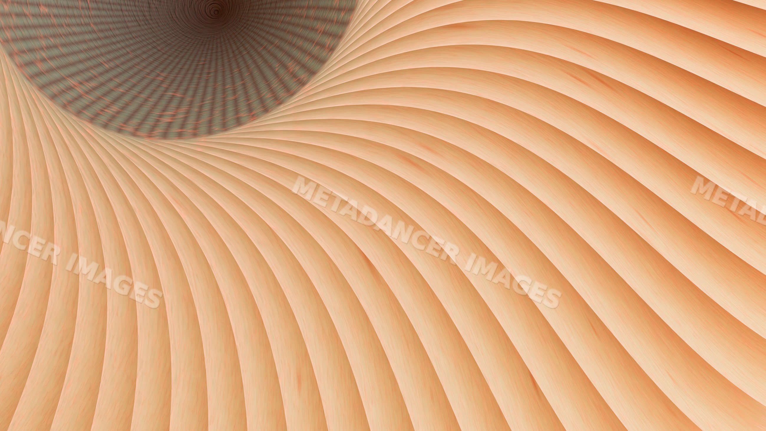 Curved concentric wood panel pattern with natural grain texture
