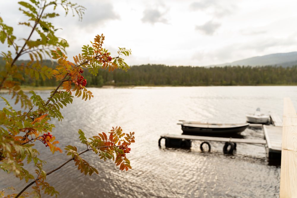 Lake with boats docked near shore during autumn