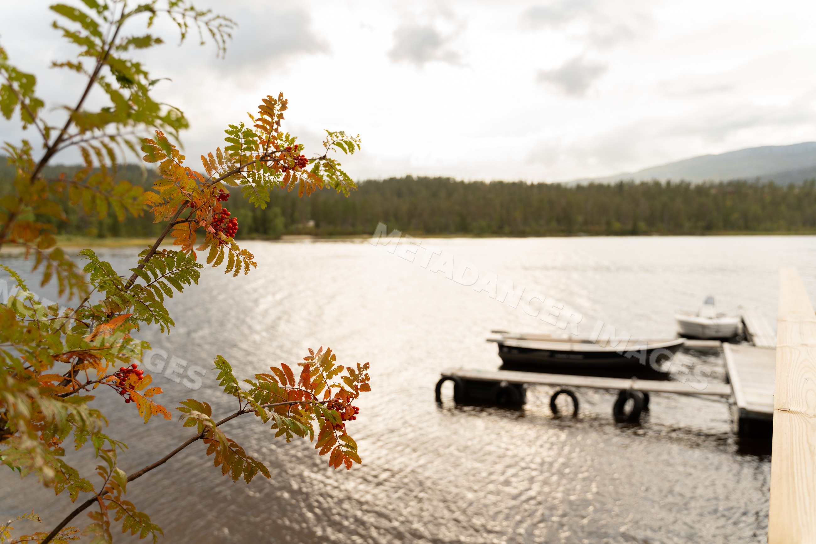 Lake with boats docked near shore during autumn