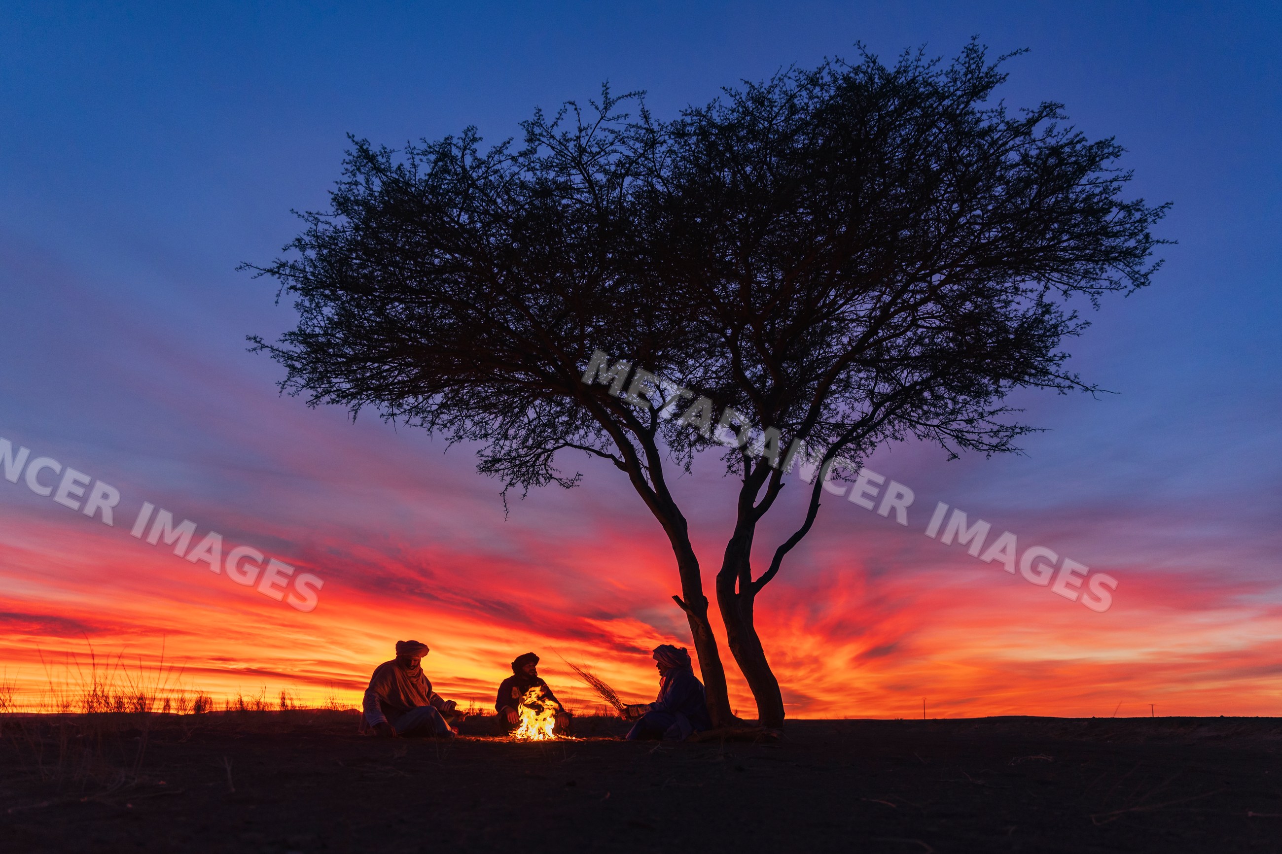 Three Berbers sitting by fire under acacia tree