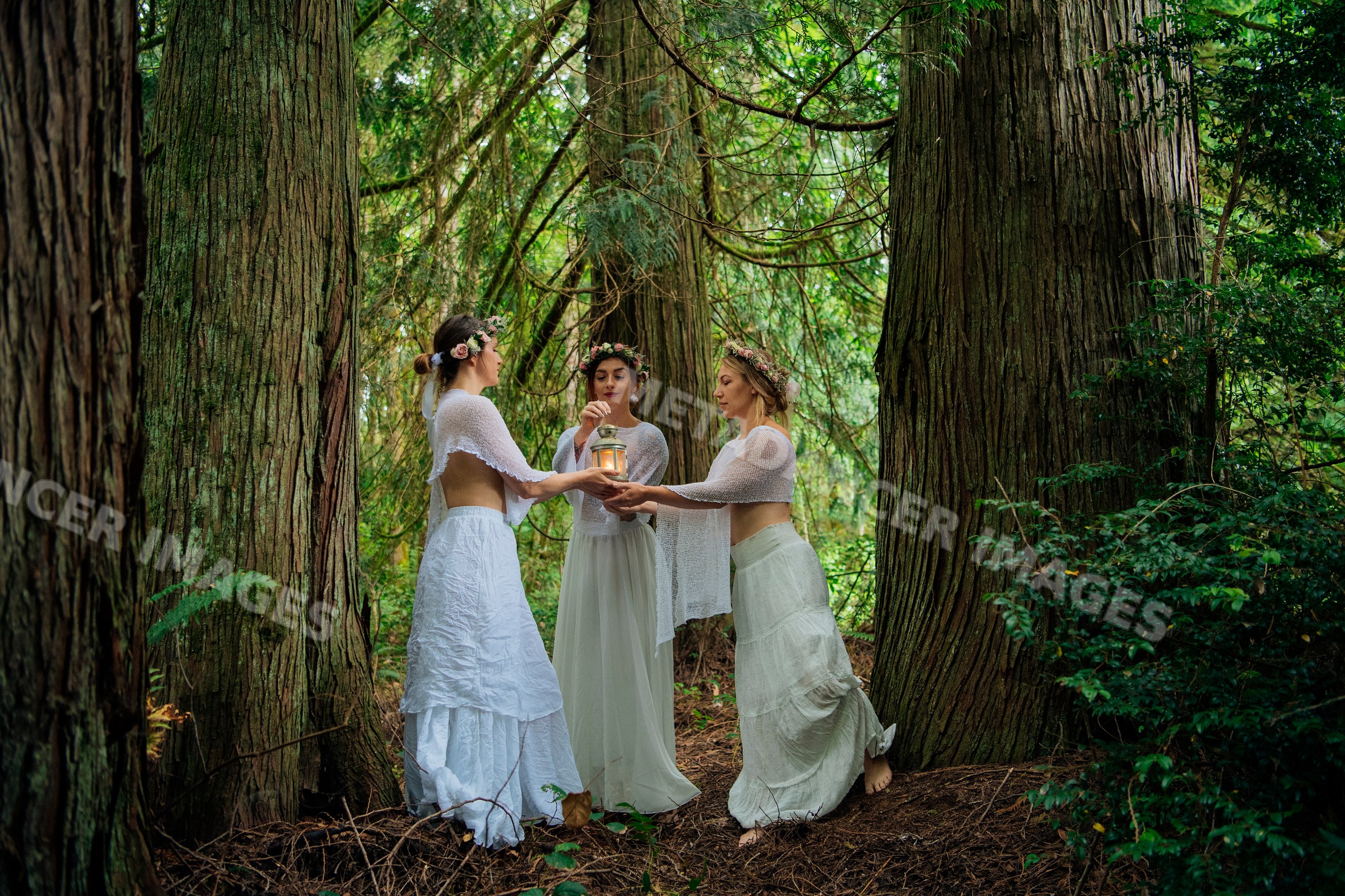 Three white women hold lantern standing among tall trees